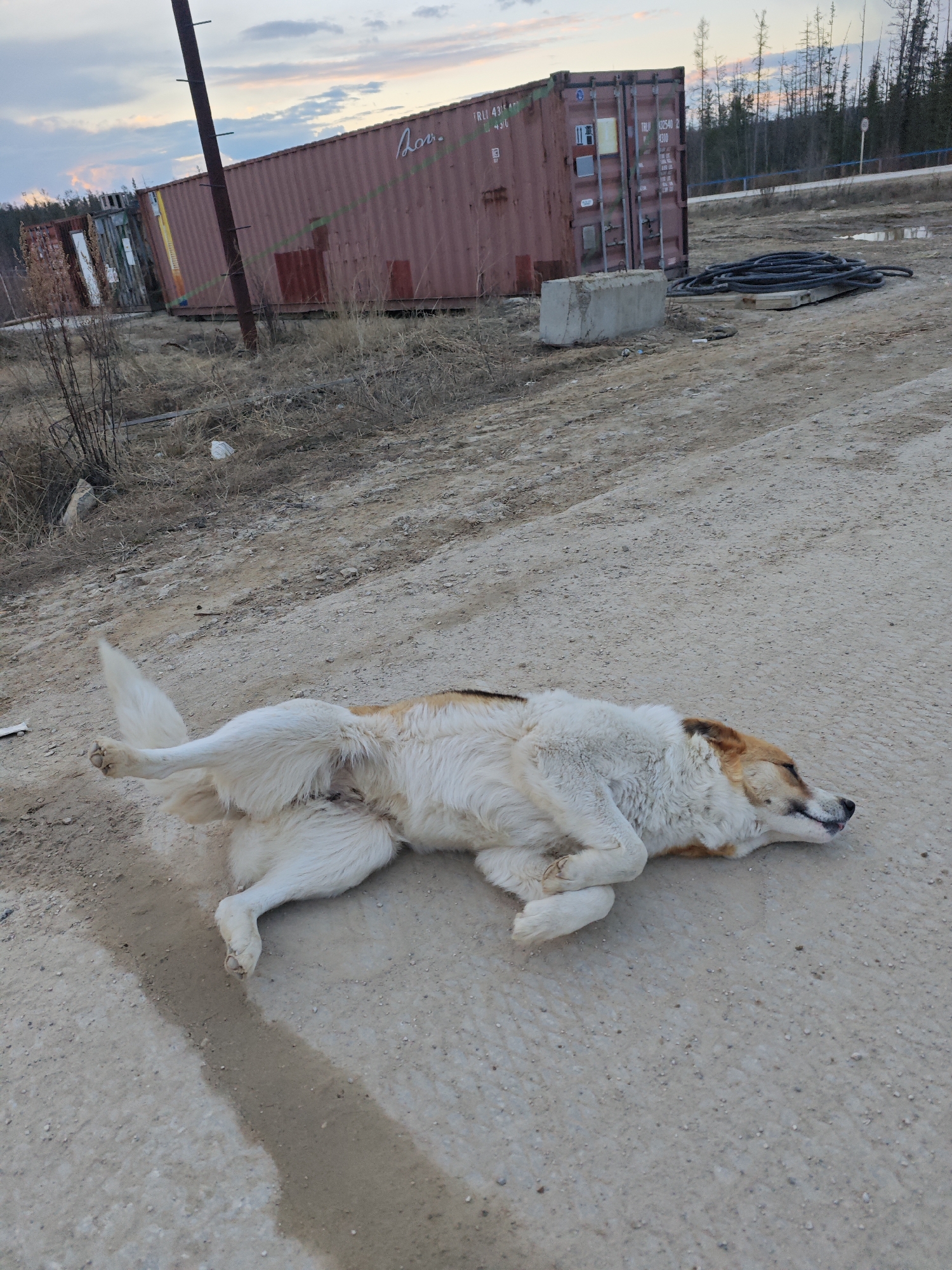 Rural Russia scenes documented during stormy afternoon conditions