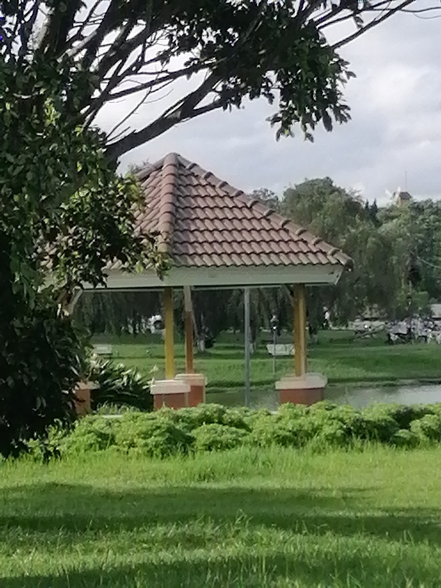 Morning around Xuan Huong Lake, Da Lat's garden city core
