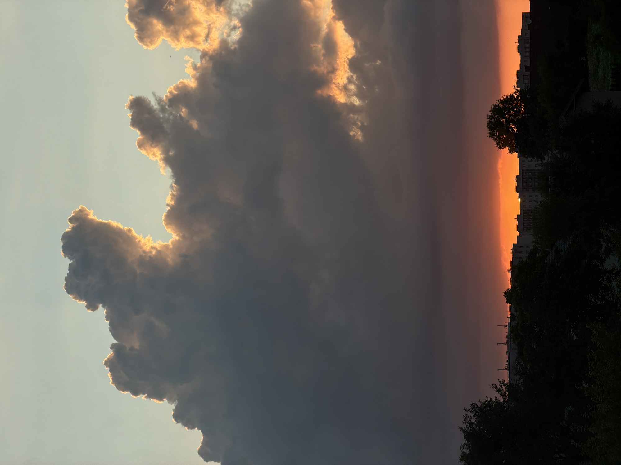 Black cat, bumblebees, and a striking midsummer sunset in Dreiliņi