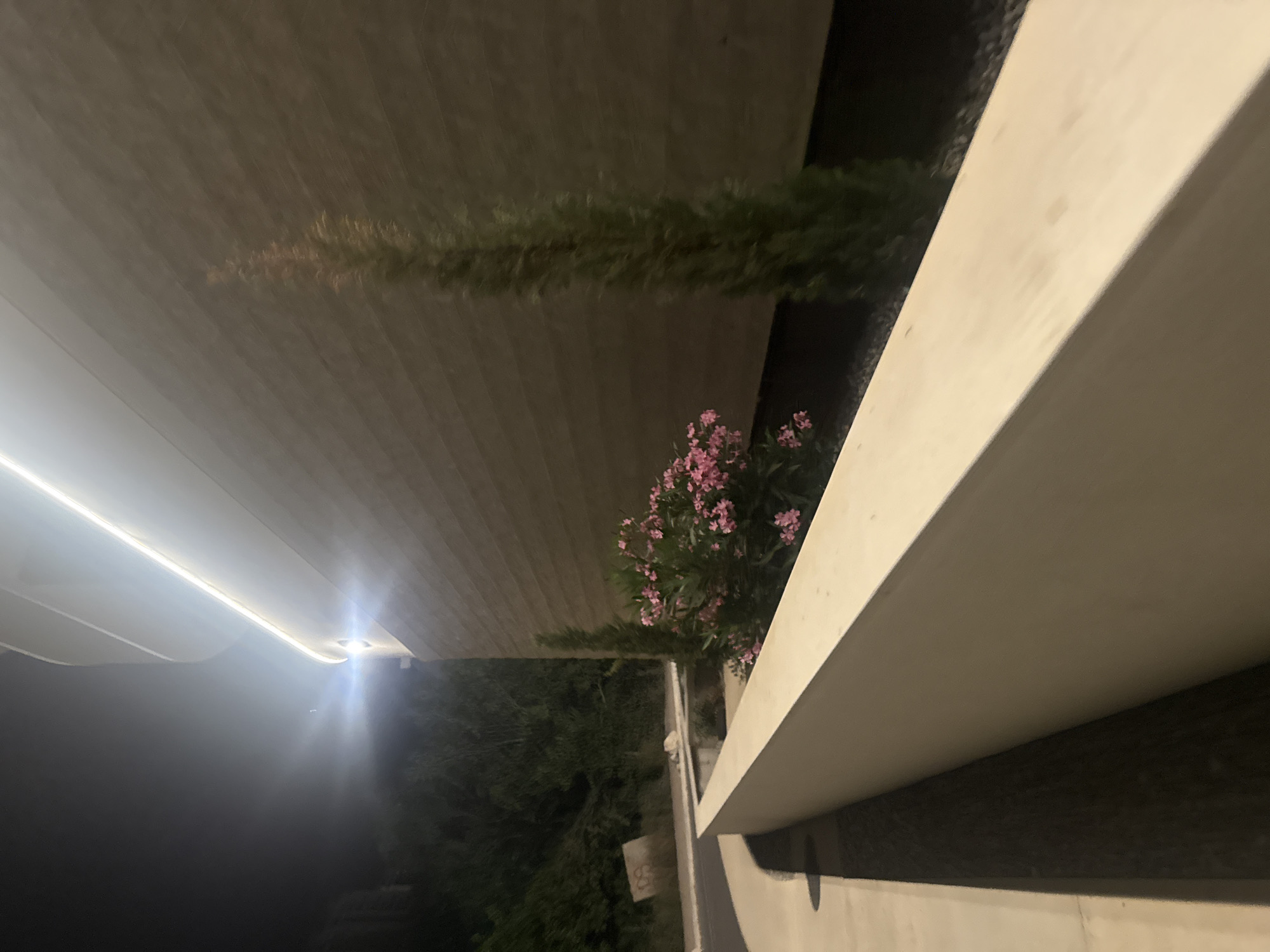 A late evening in Boreti, Montenegro, streets and screens
