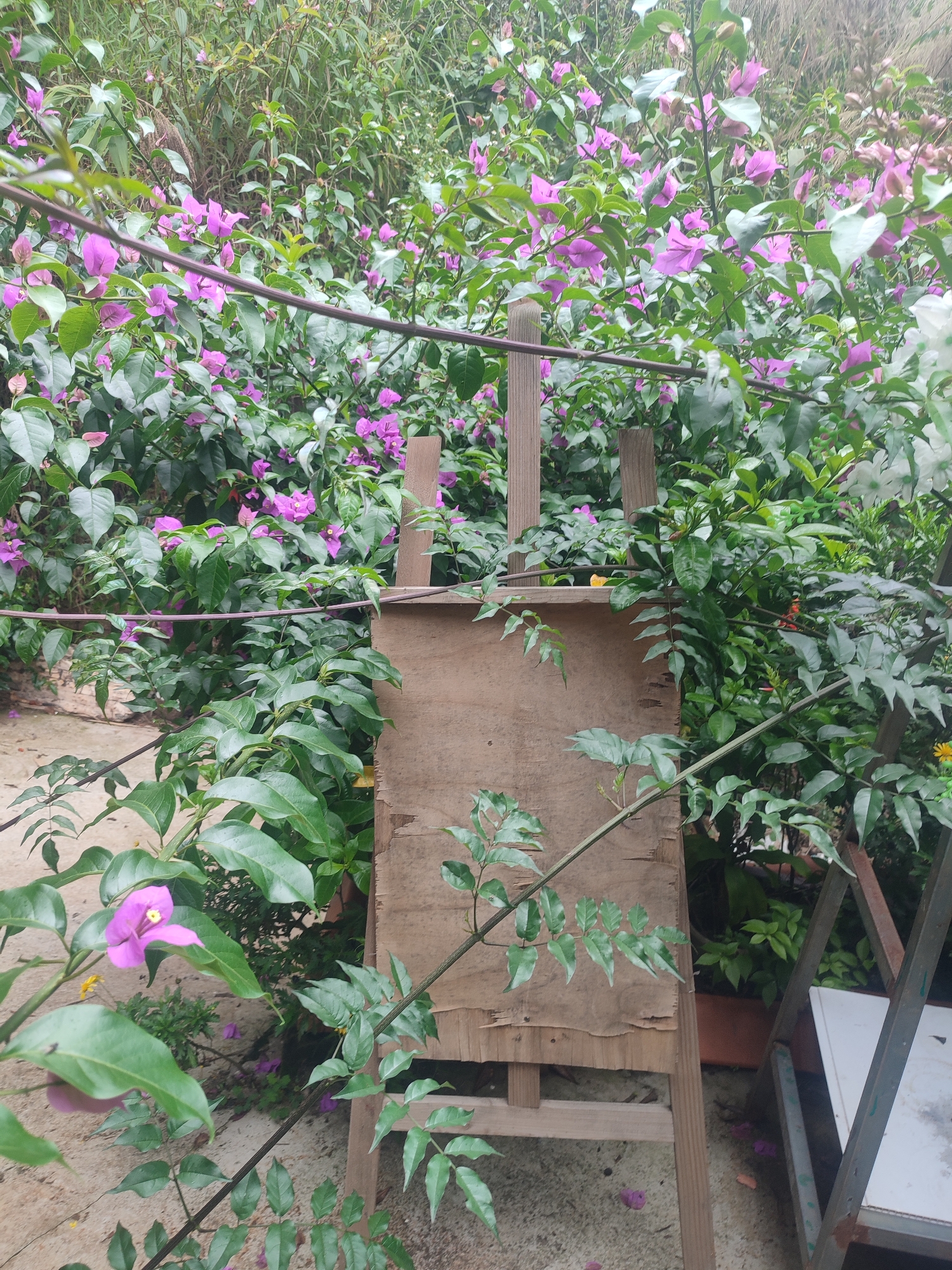 Morning domestic life documented in Da Lat, Vietnam