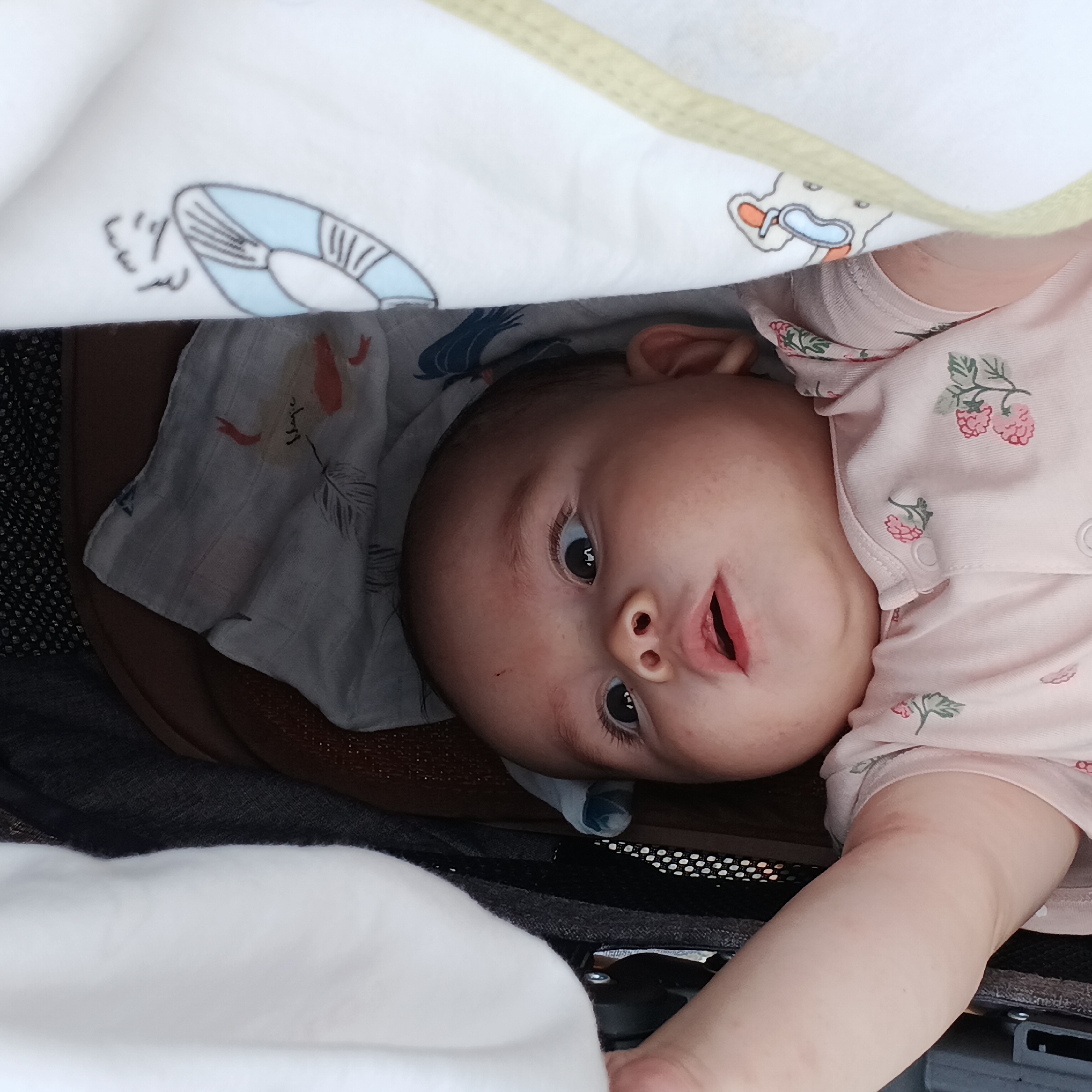 Late night baby outing recorded in Shunde District park