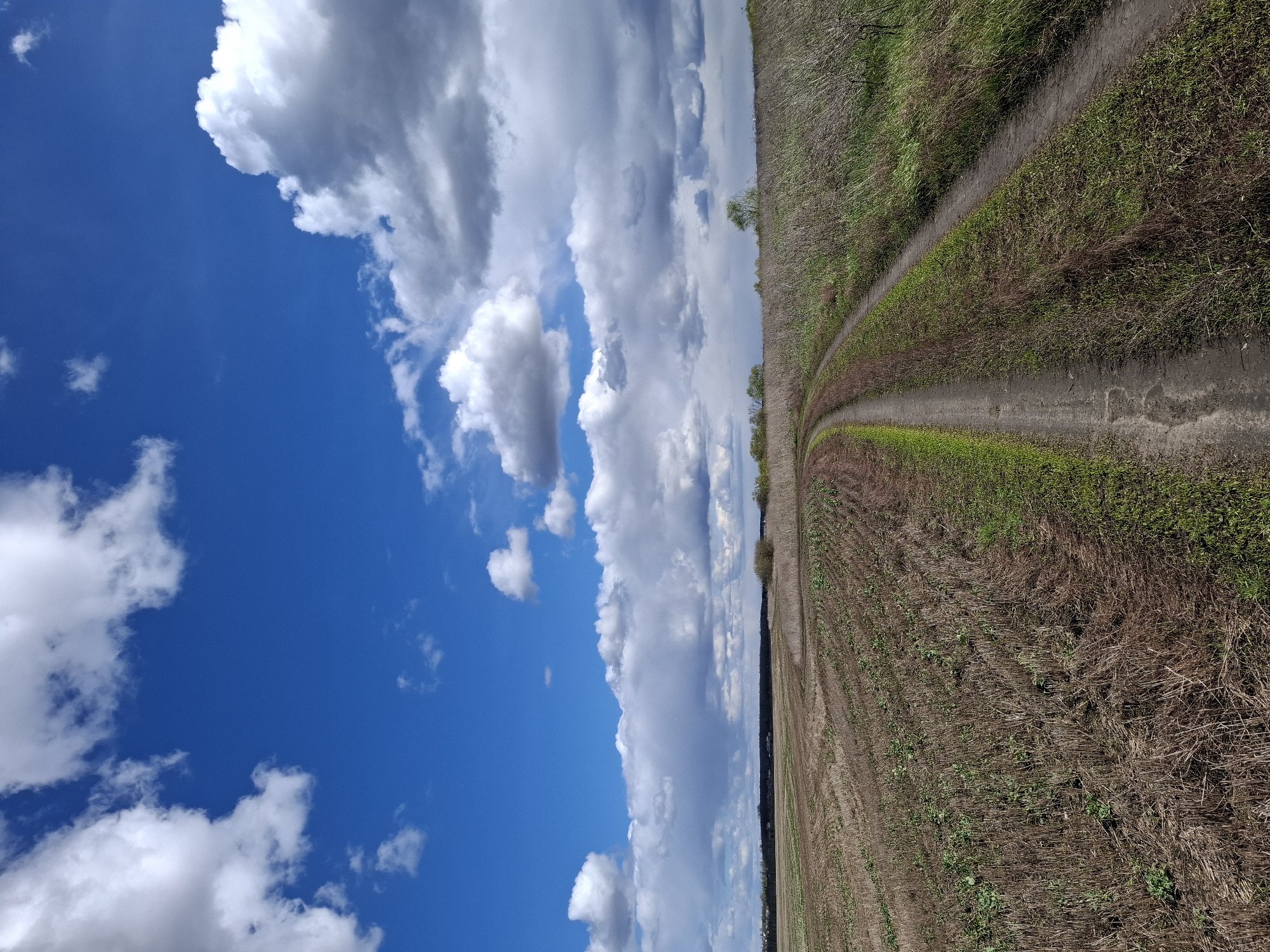 Rural landscape documented in Treshchevka, Russia under dynamic skies