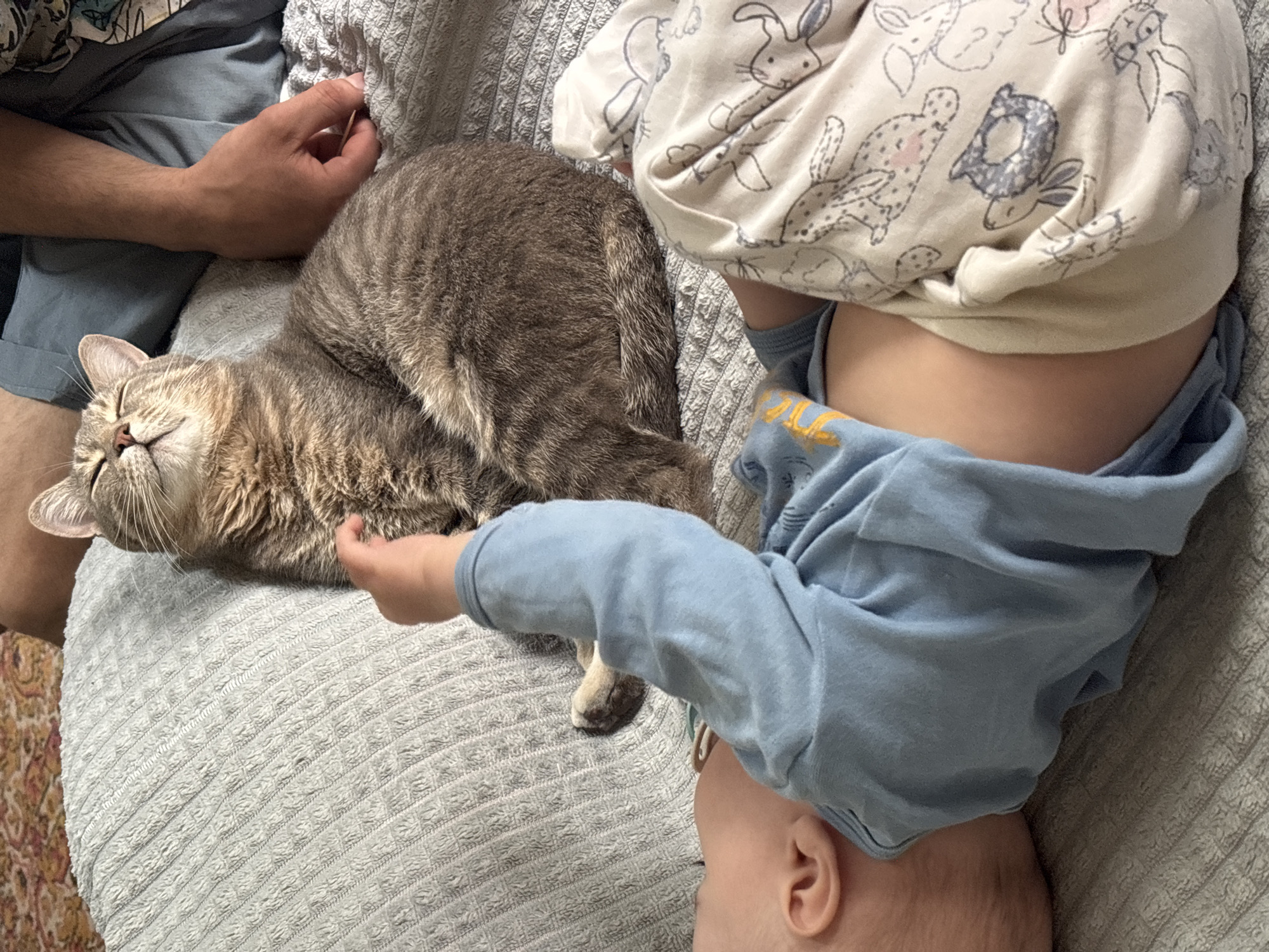 Morning domestic routine with cat, baby captured in Russia