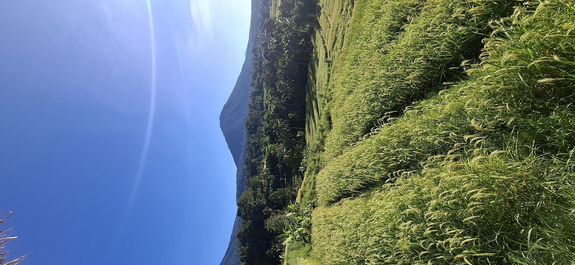 Witness documents rural Penebel landscape under clear skies