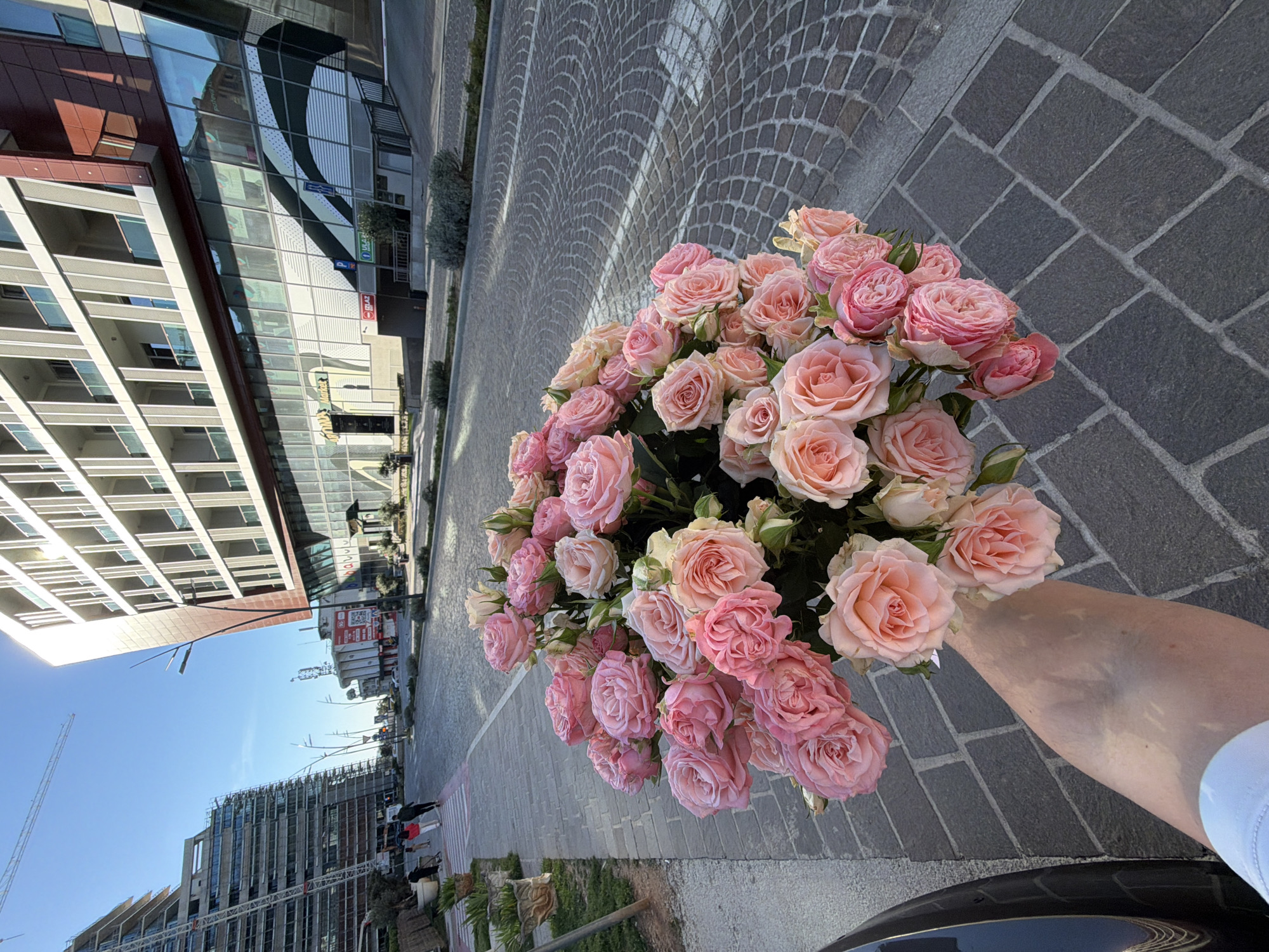 Pink roses held against urban backdrop in Budva
