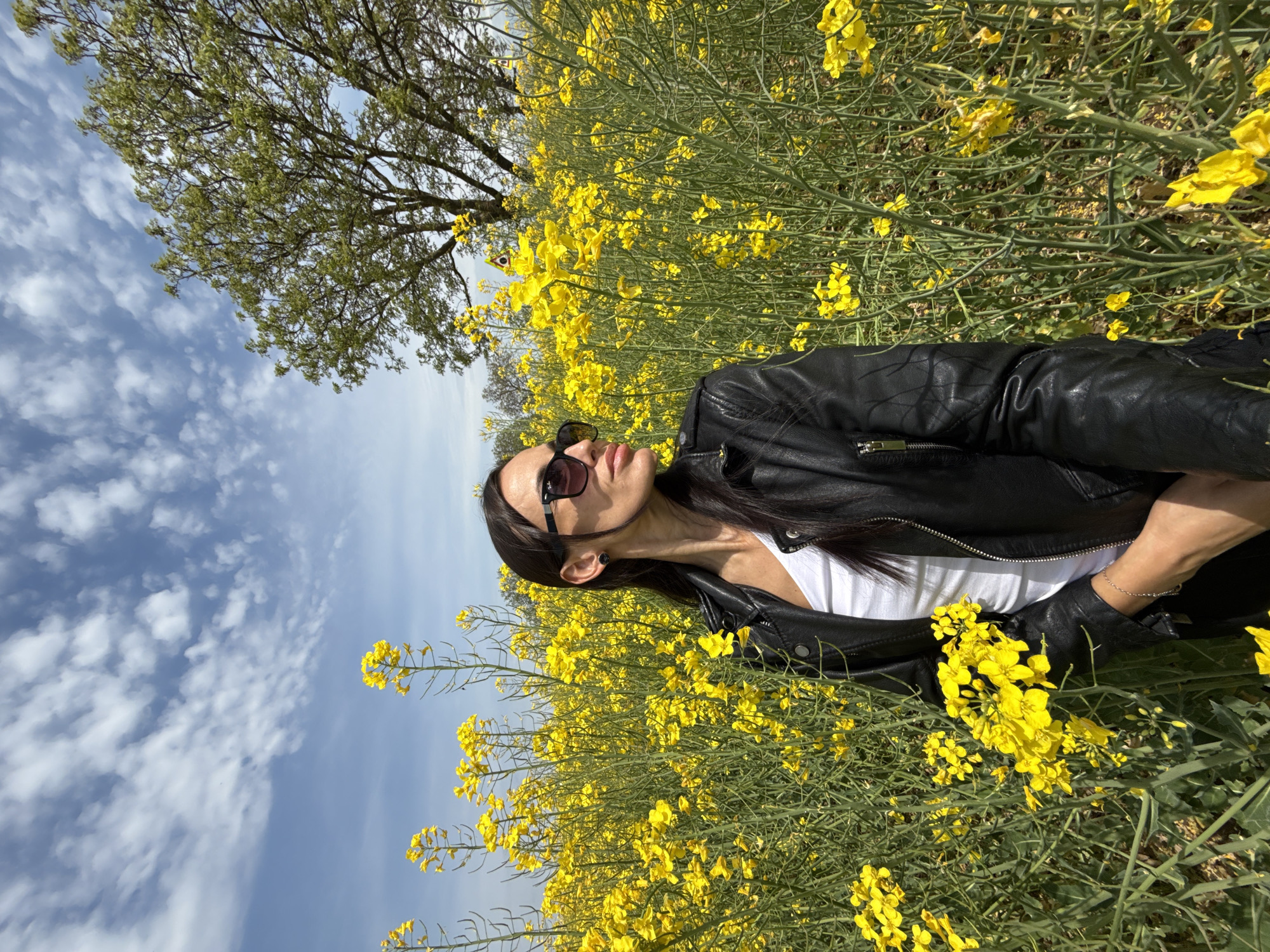 Woman photographed in yellow flower field near Lovech, Bulgaria