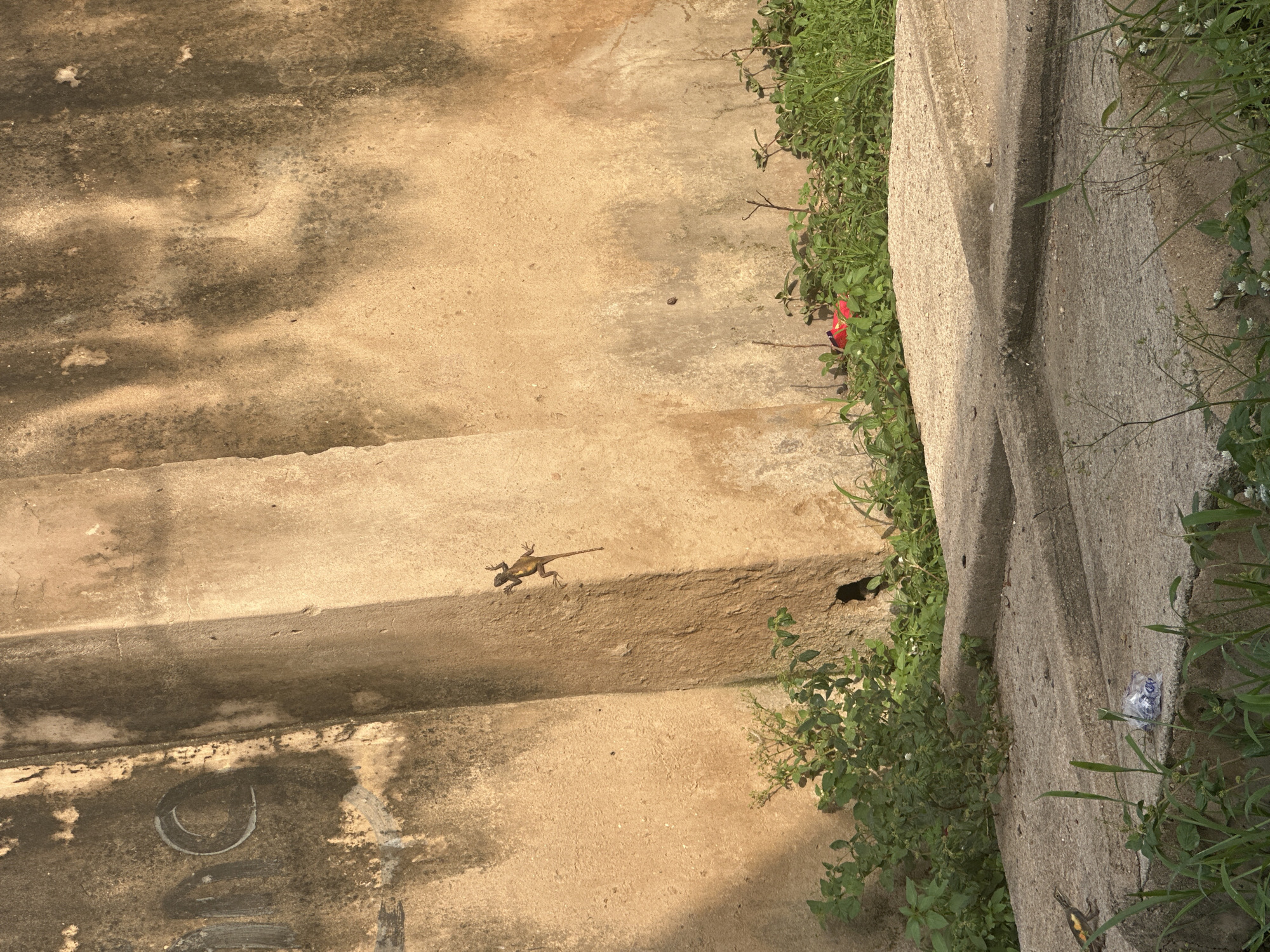 Street life along Jalingo's roads on a hazy afternoon