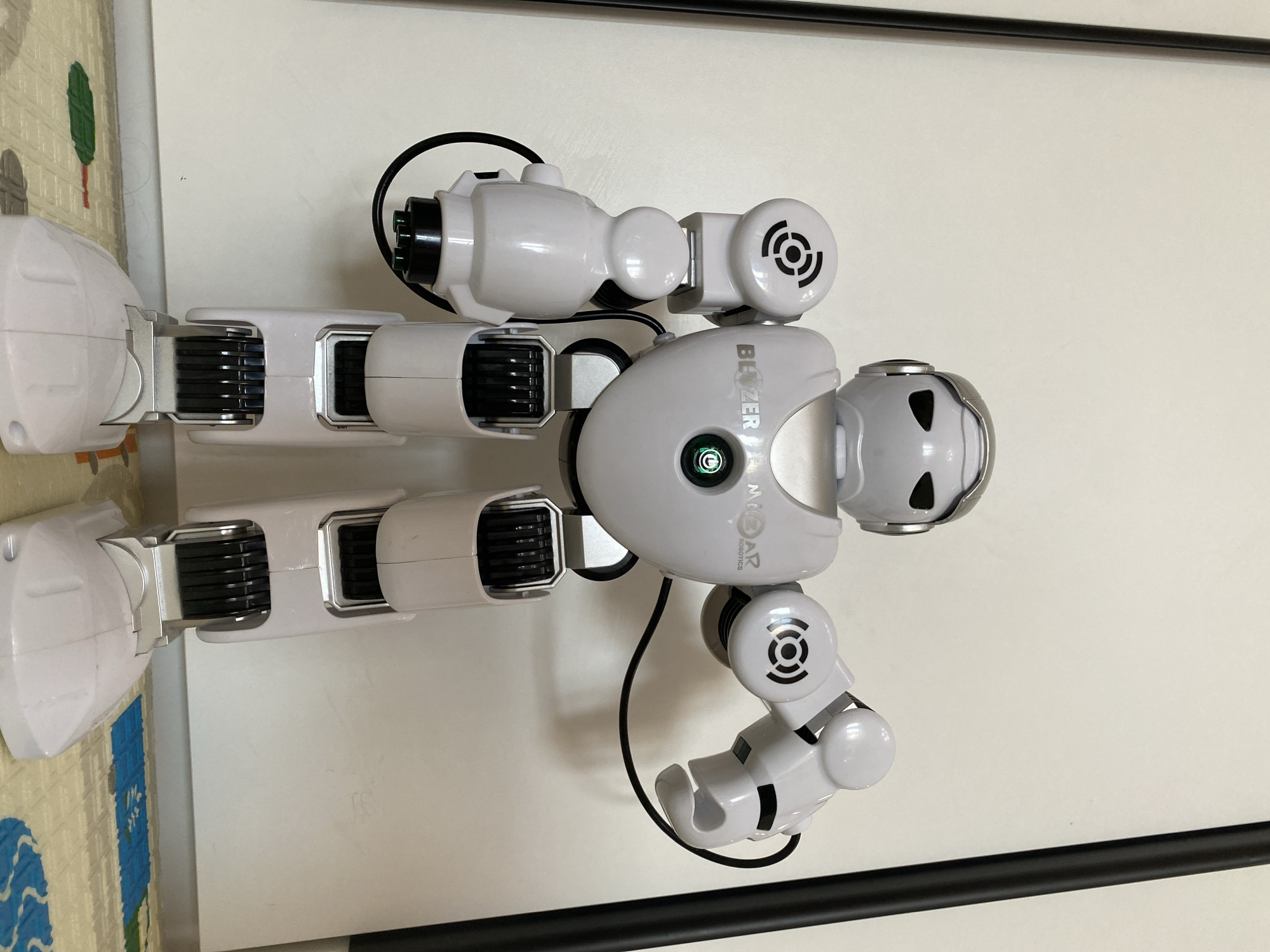 Robot, lakeside homes, spring sky documented at single location