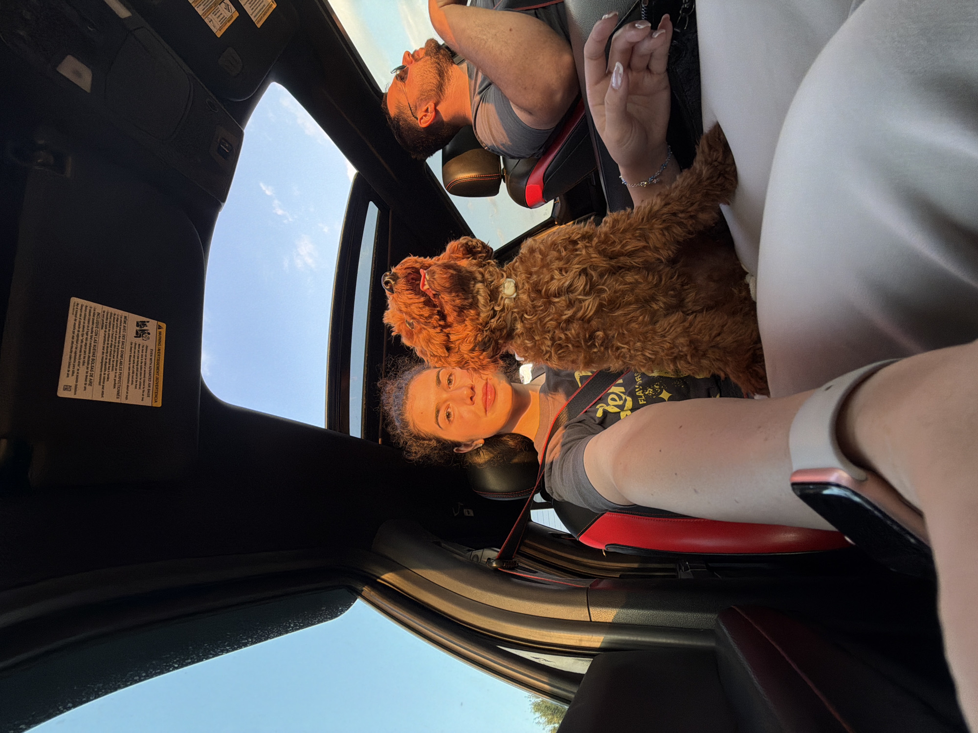 Curly dog rides through rural Bulgaria with sunroof open