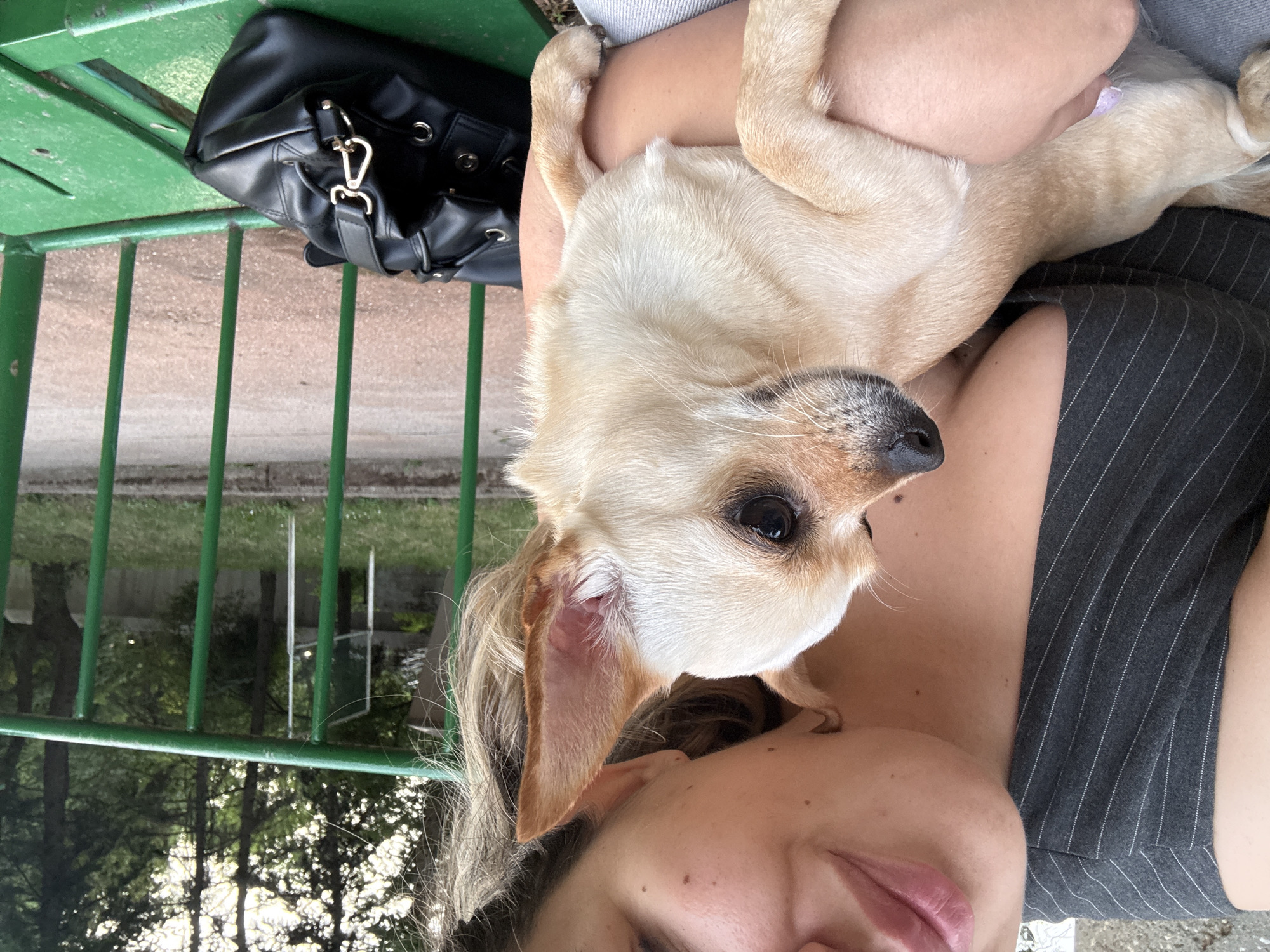 Woman takes selfies with Chihuahua on Sofia park bench