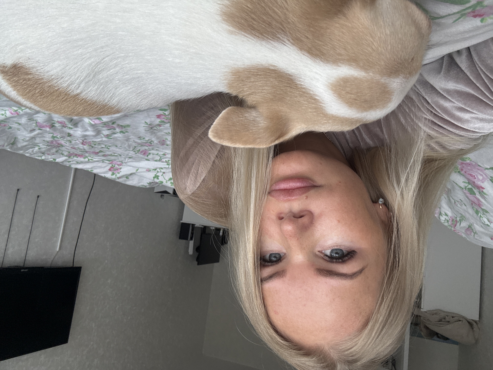 Woman and chihuahua share quiet morning moment in bedroom
