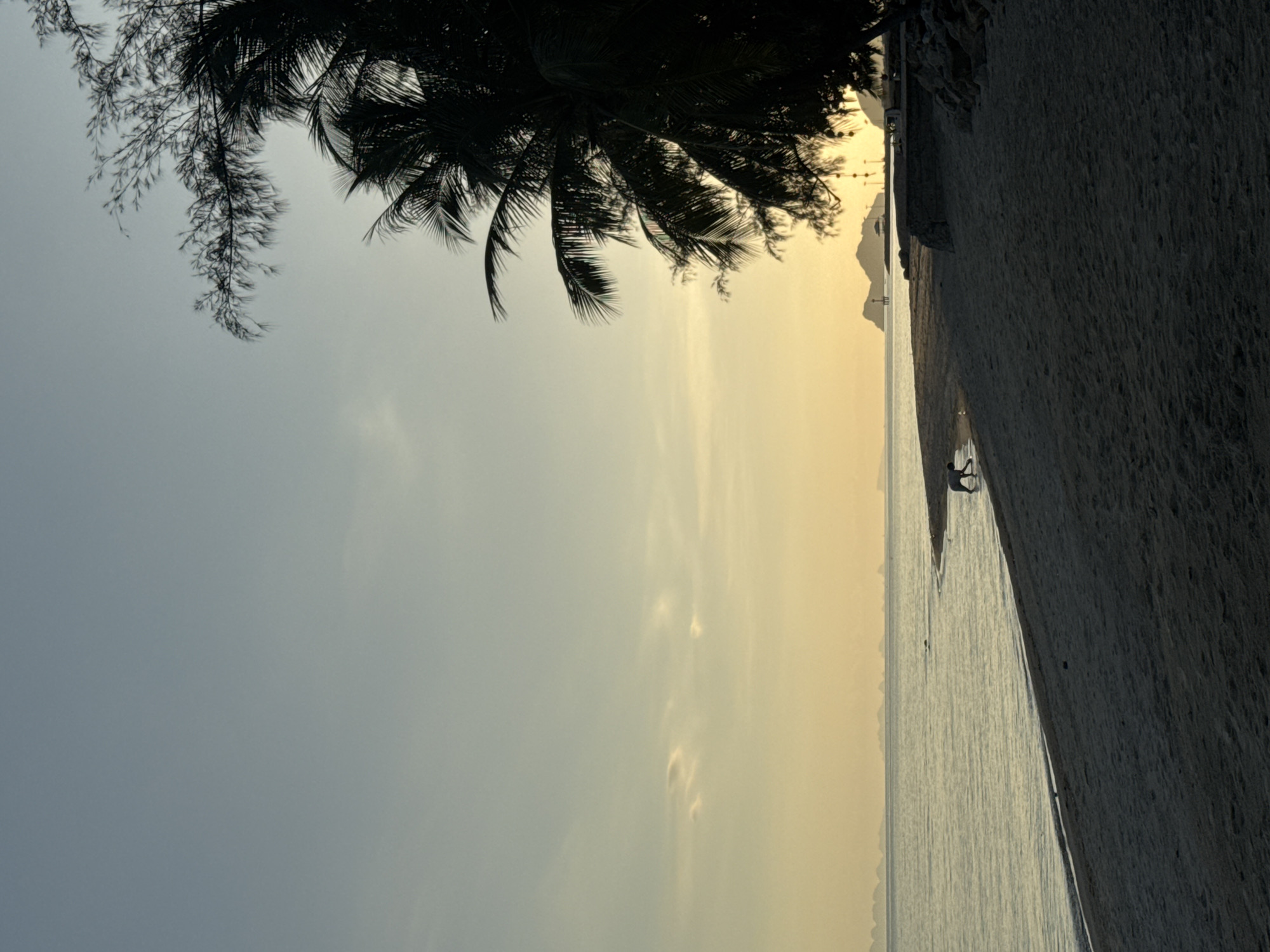 Dogs and beachgoers on a laid-back Ko Pha-ngan shore