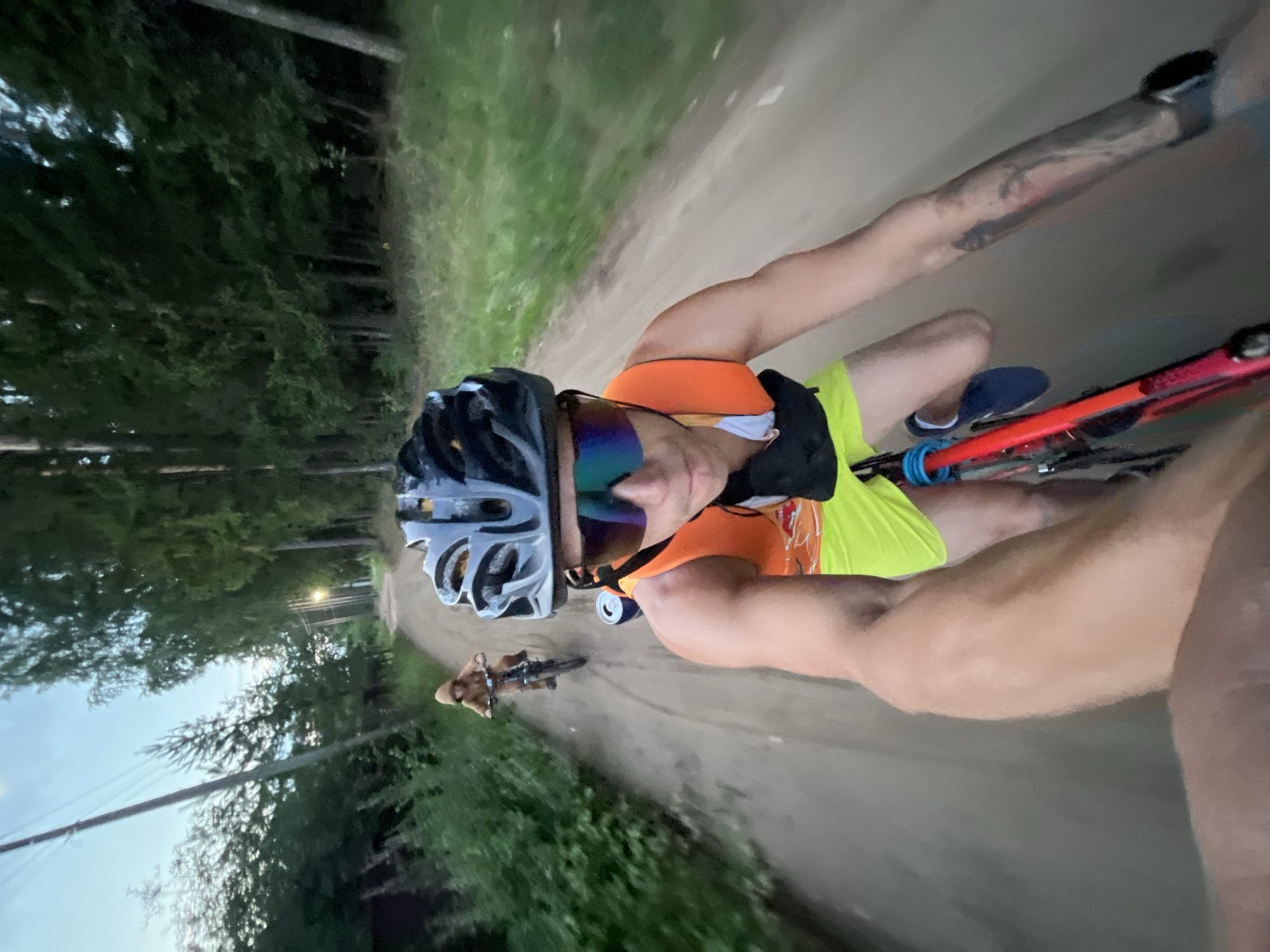 Bikes, kids, cats, and cars on a Chaikovsky summer afternoon