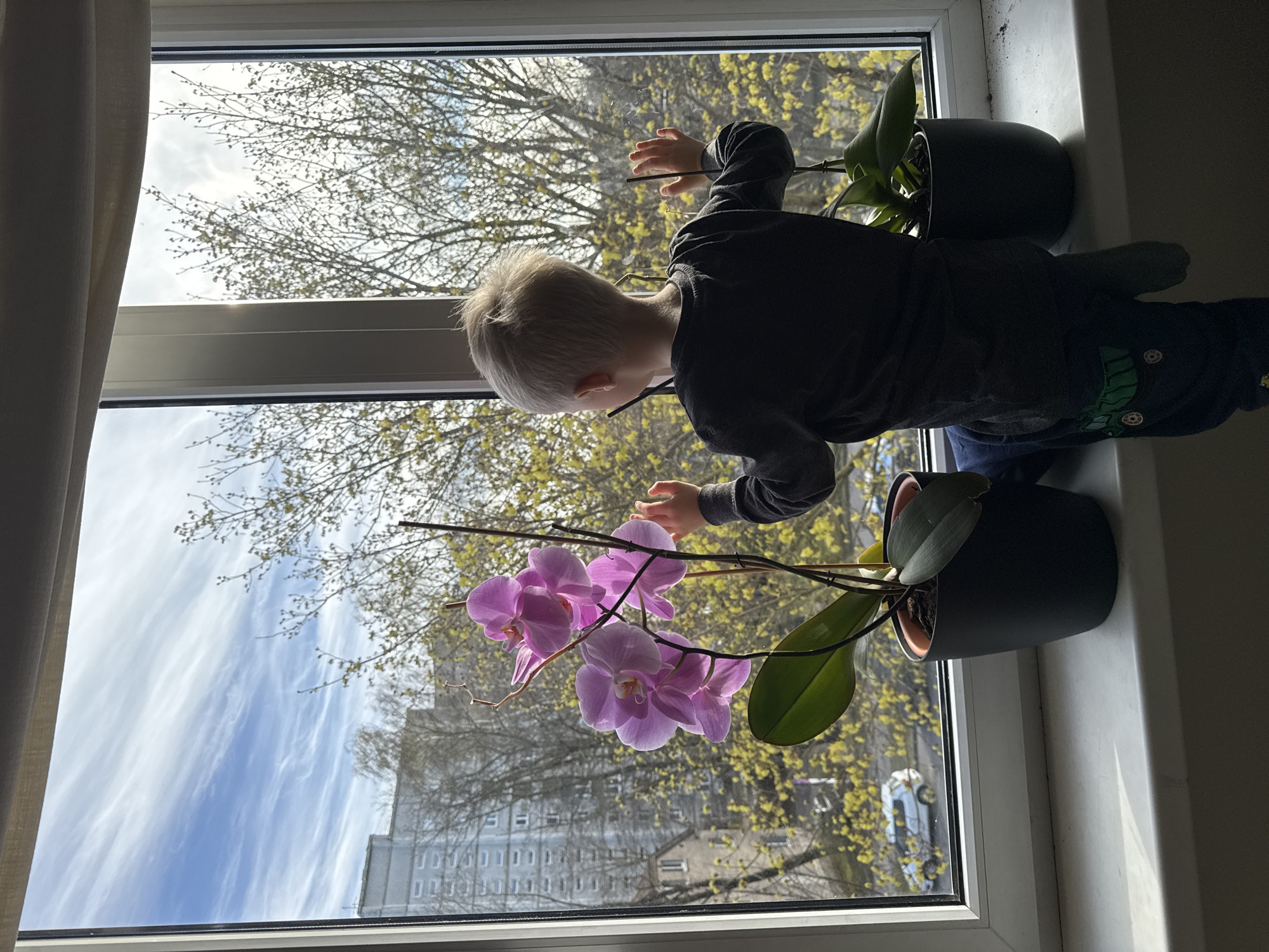 Quiet afternoon moments captured in Riga homes