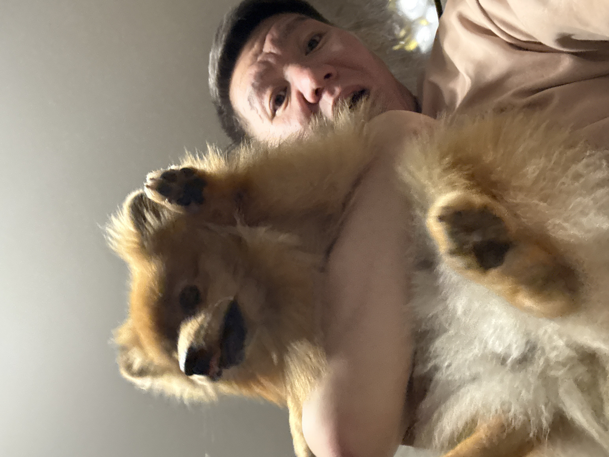 Pomeranian steals the spotlight in Khimki
