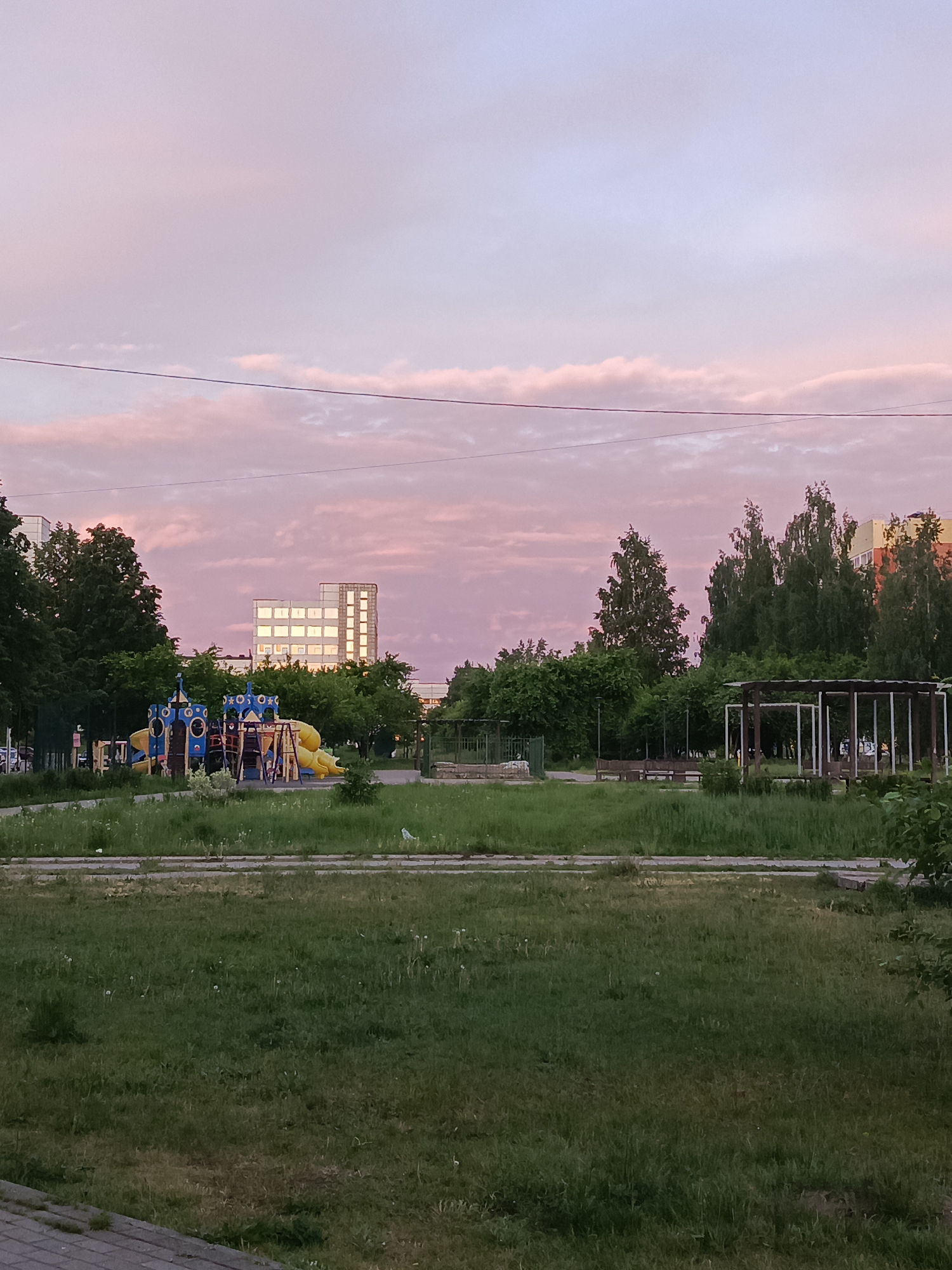 Overgrown field documented in Chaikovsky, Russia