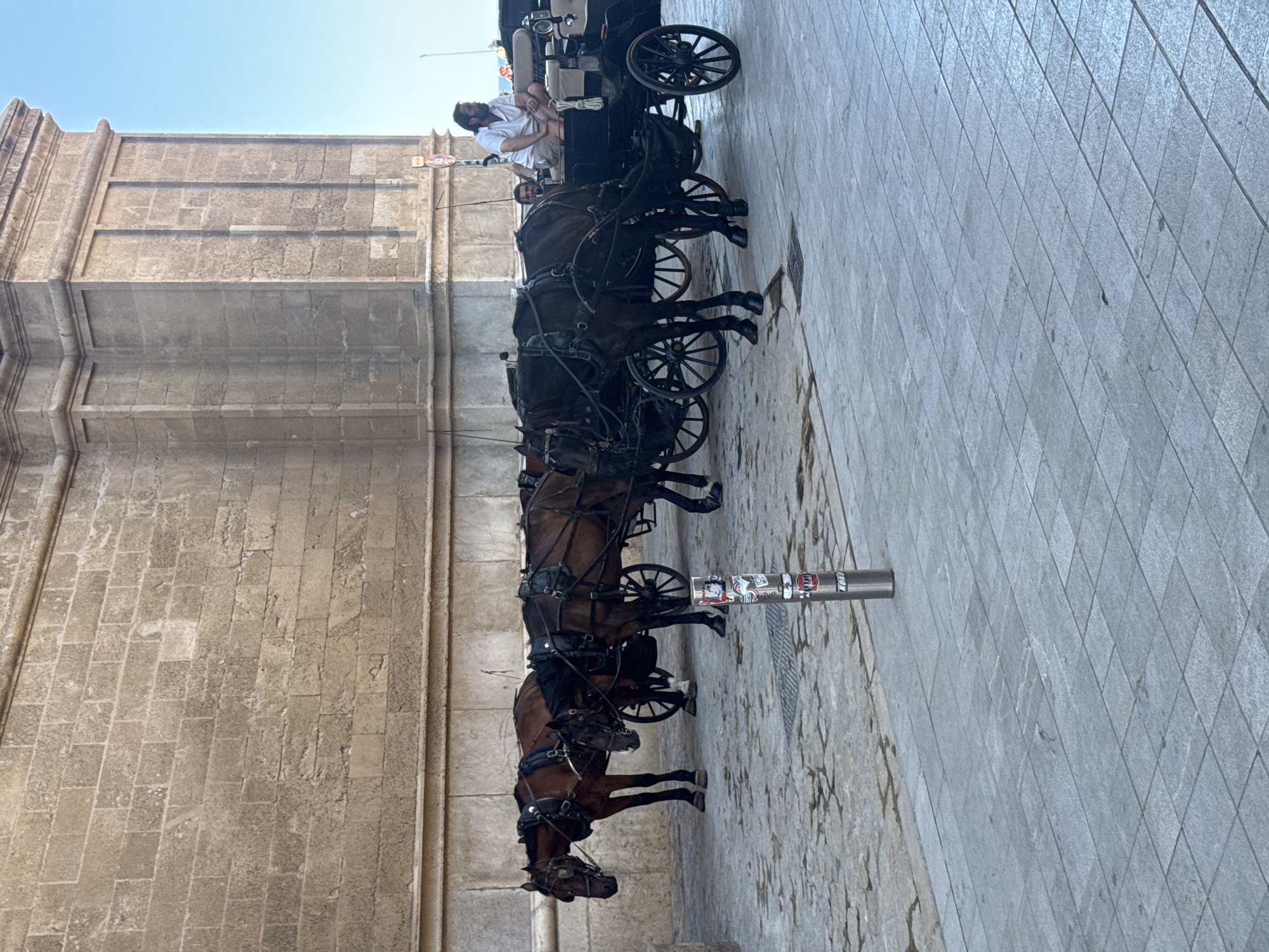 Horse-drawn carriage near Palma's Gothic cathedral on a clear morning