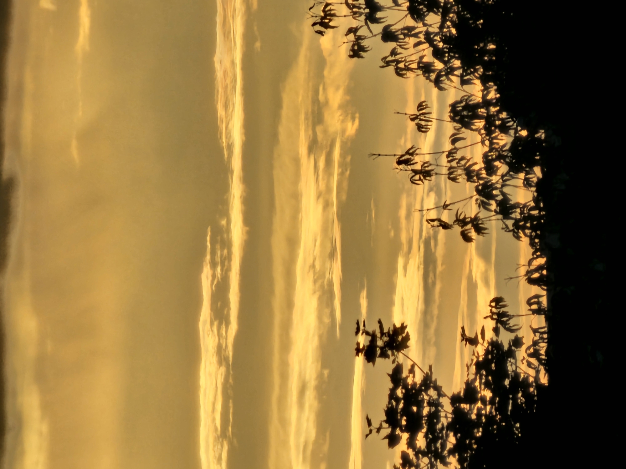 Live music and a golden sunset in Khimki