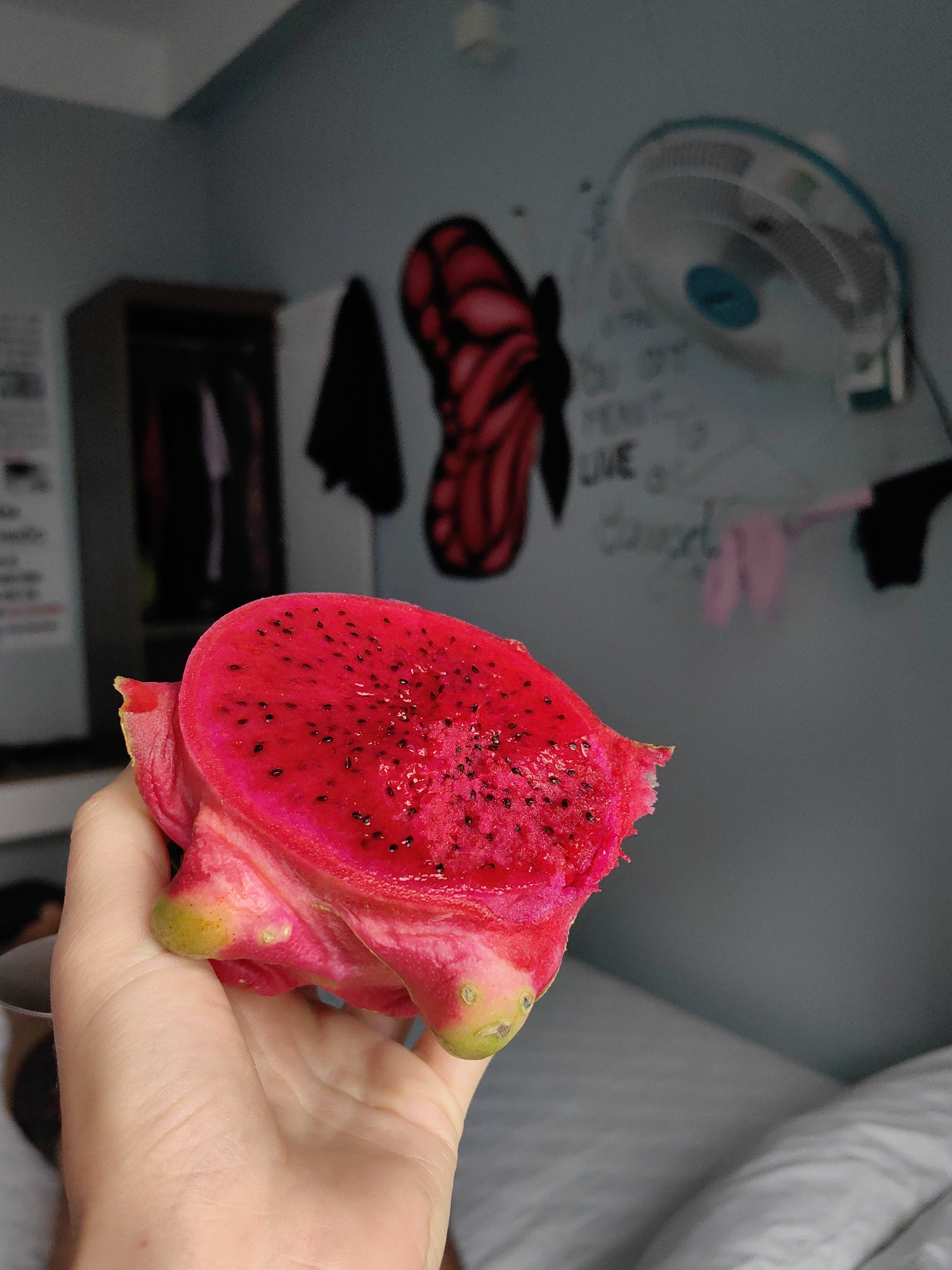 Morning domestic life documented in Vietnamese residential ward