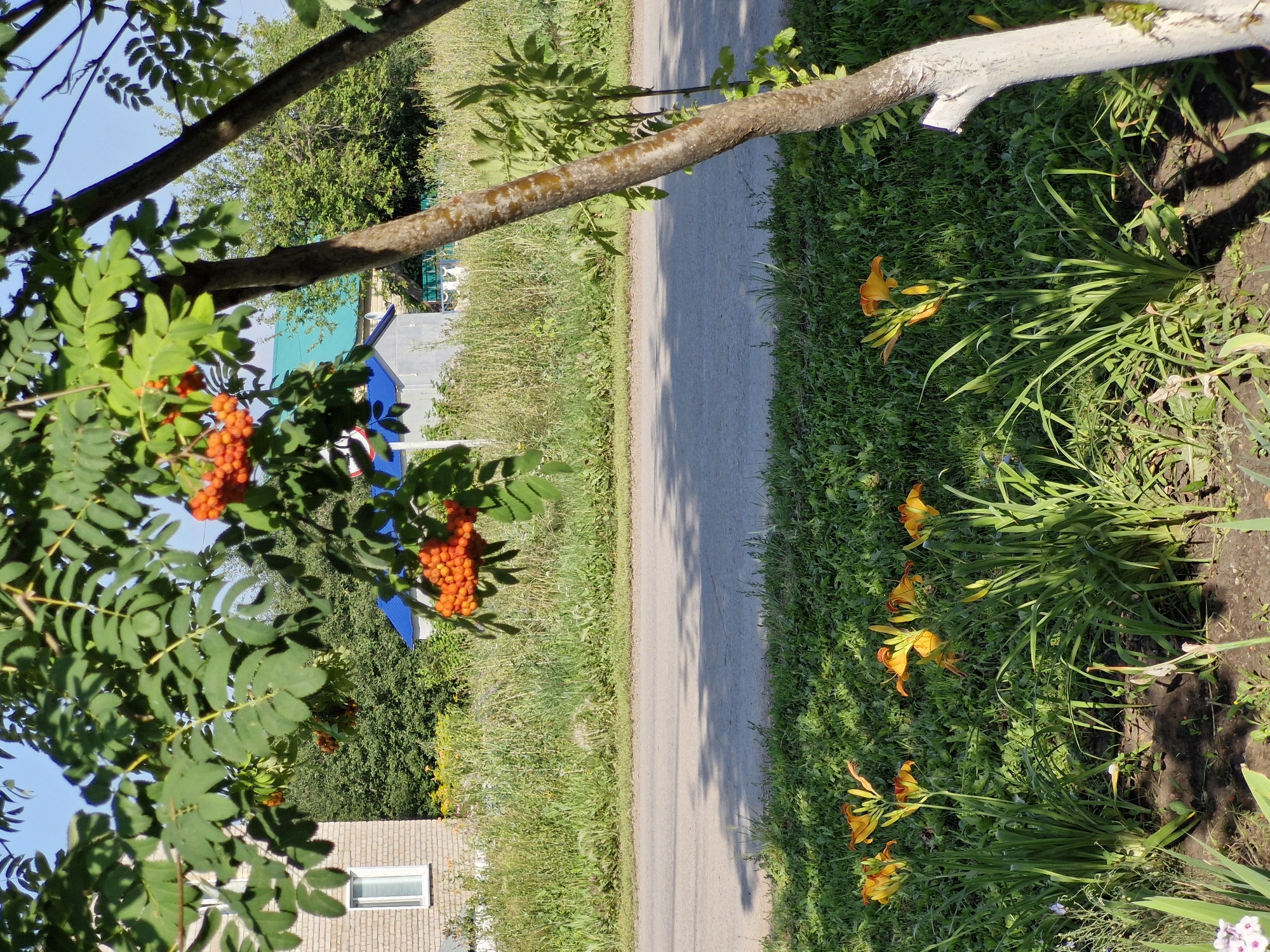 Buzdyak, Russia
