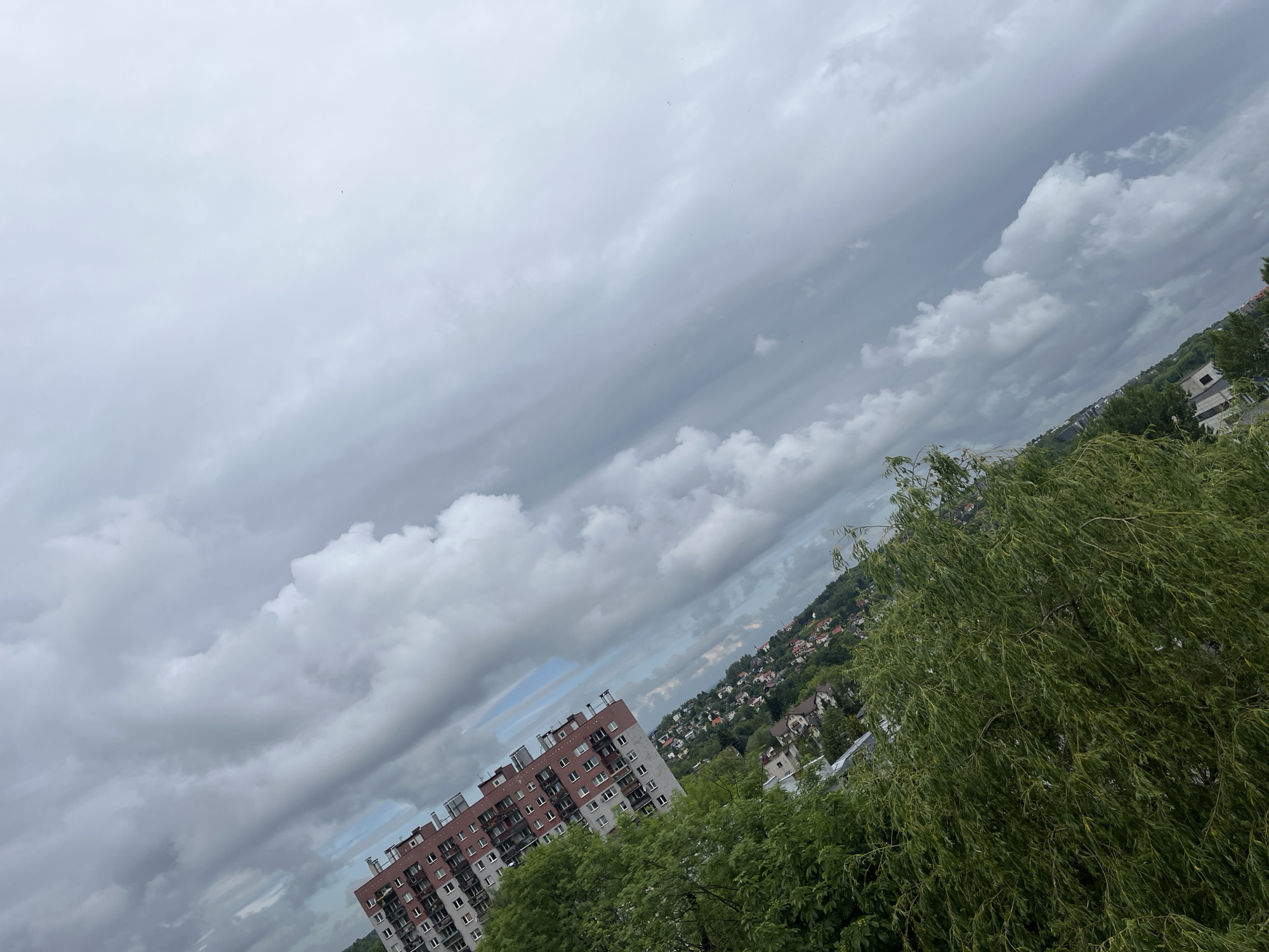 Witness Documents Overcast Morning Cityscape from Elevated Position