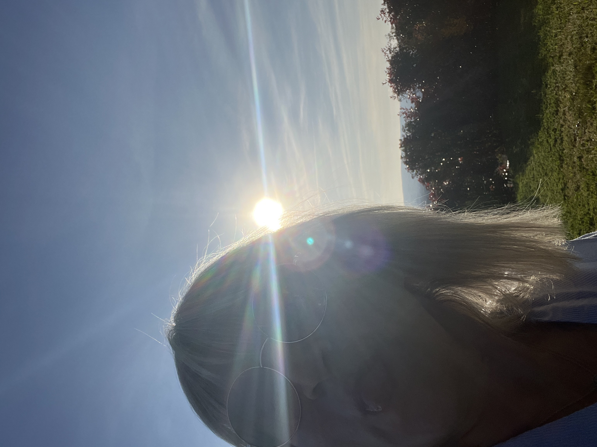 Woman documents domestic routine with selfie and ironing in France