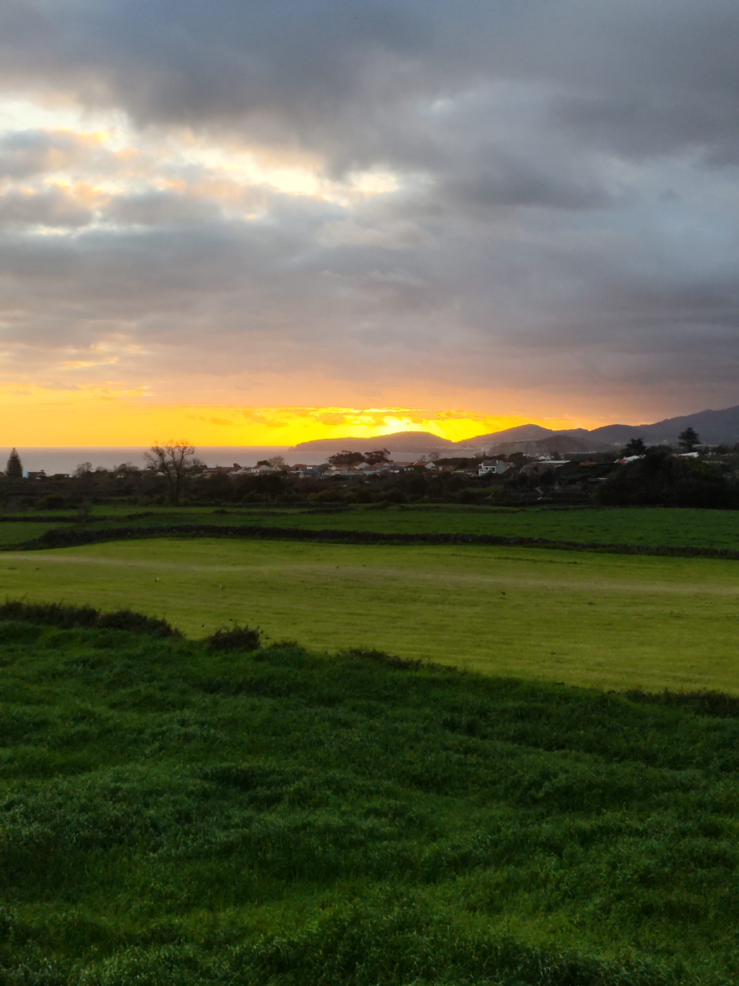 Nature moments captured in Ribeira Grande: sunset fields, flowering blooms