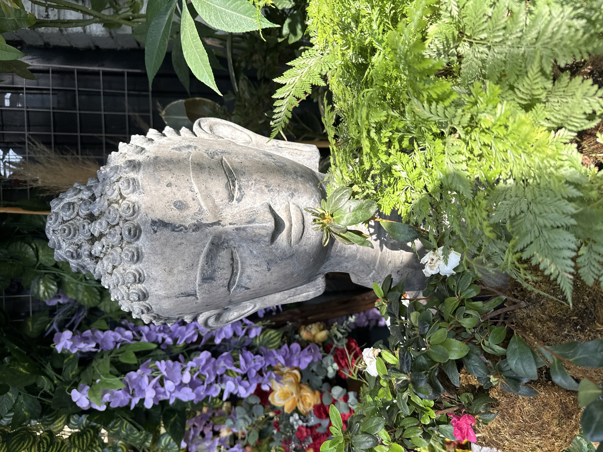 Evening visits captured at Mexico City garden center