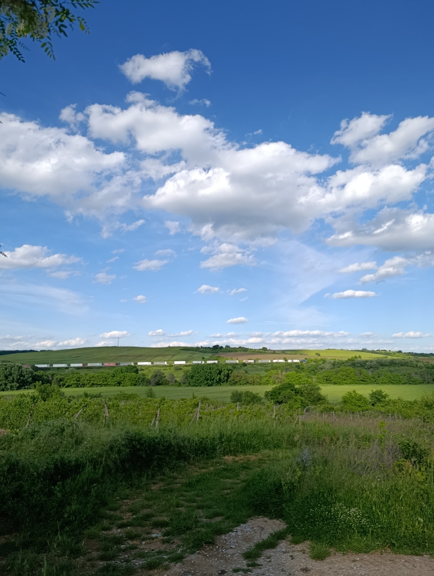 Rural cycling and spring blooms captured near Generalovo, Bulgaria