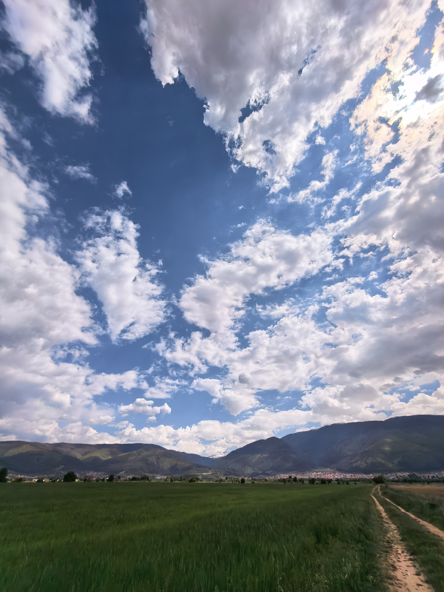 Spring wildlife and landscapes observed in Bulgarian town
