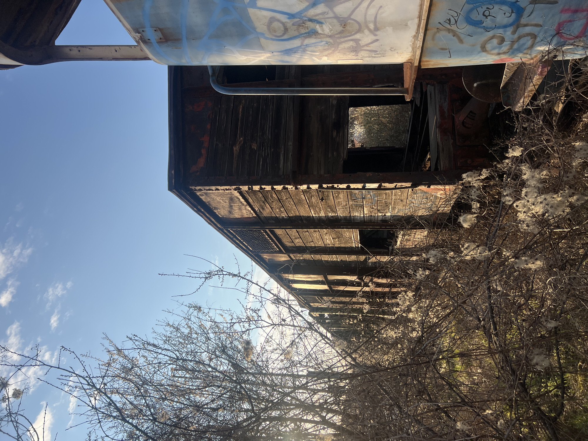 Abandoned graffiti-covered train yard documented in Sofia, Bulgaria