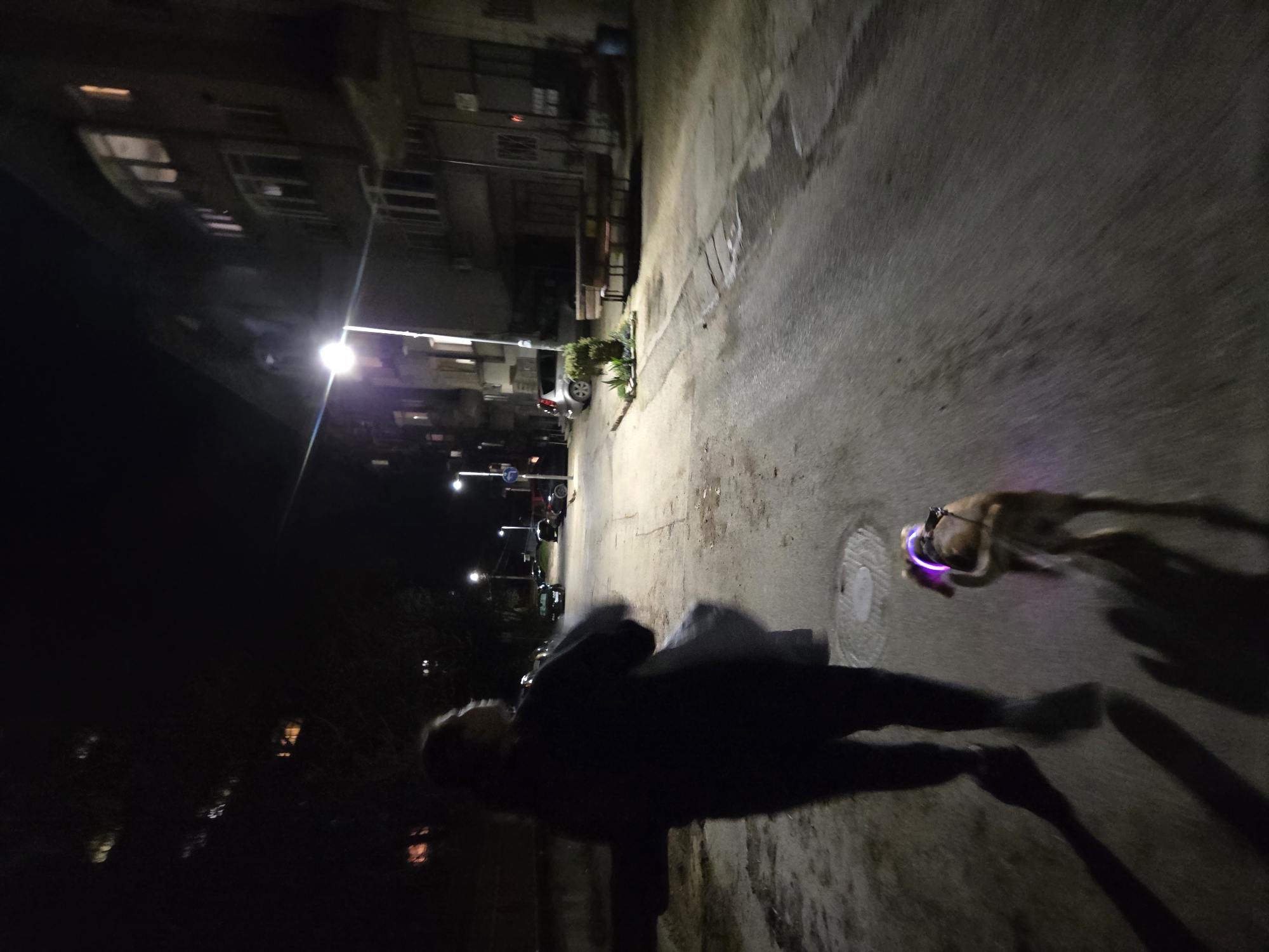 Evening street scenes captured in Pleven residential area