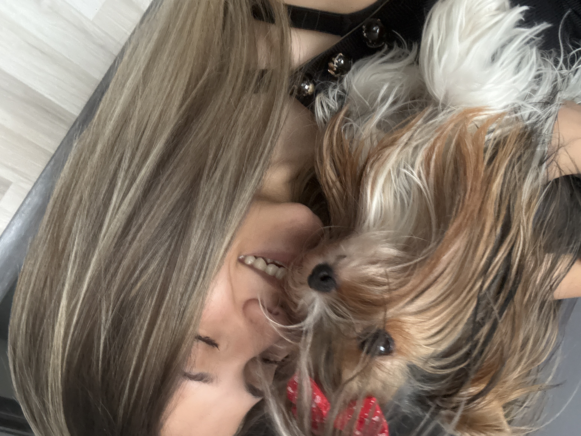 Person shares intimate moment with Yorkshire Terrier in Sliven