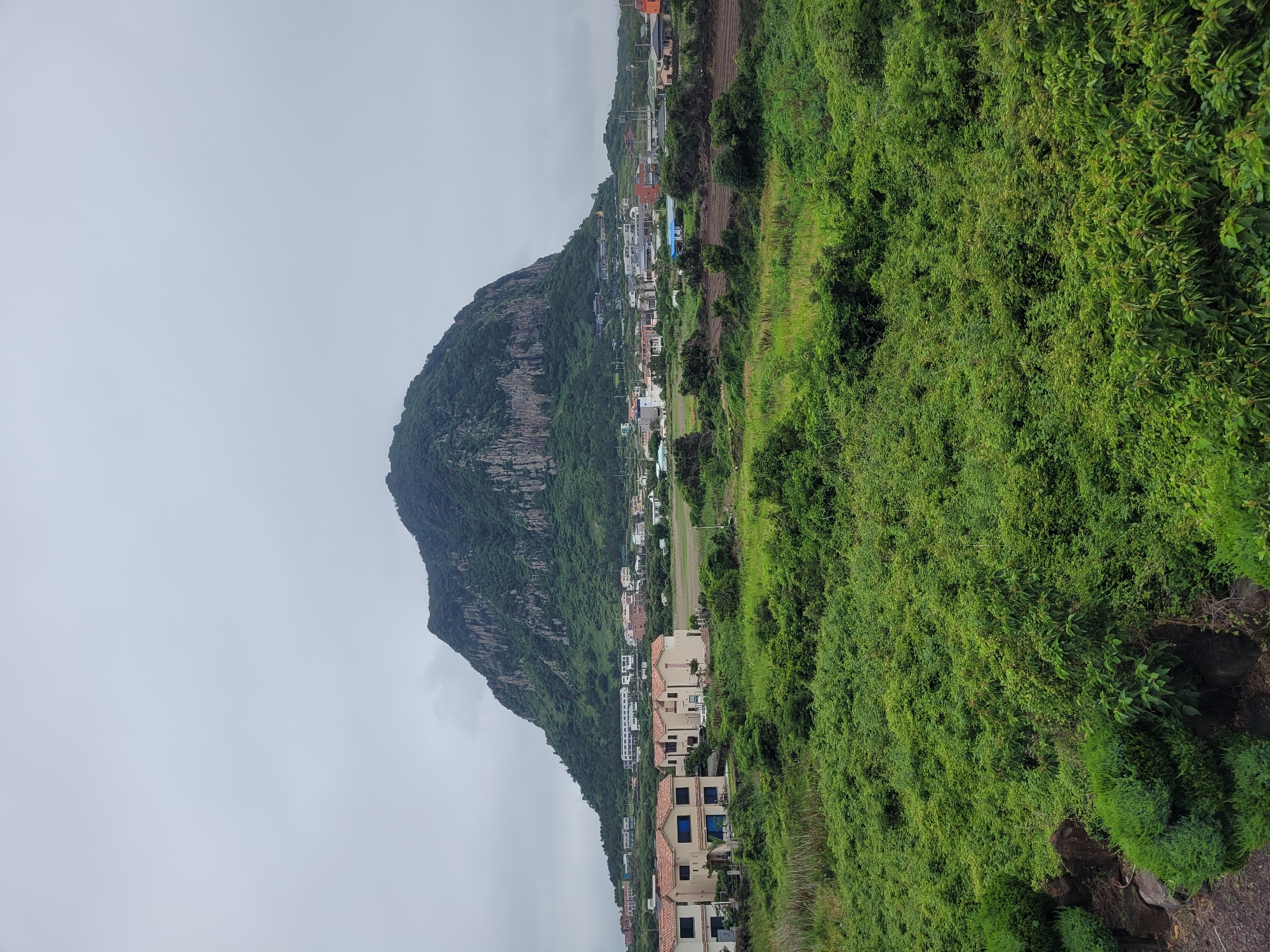 Overcast morning exploring Seogwipo's villages and volcanic landmarks
