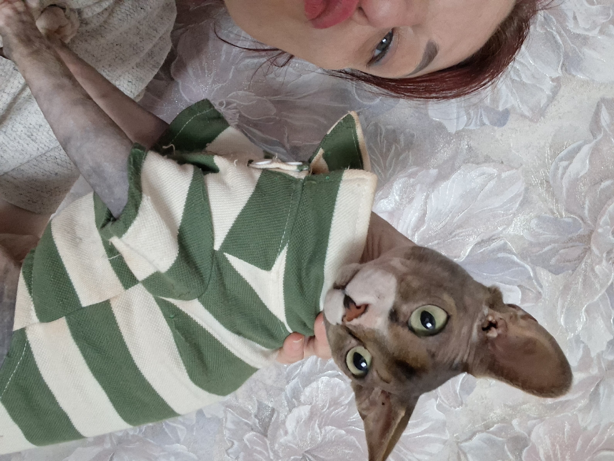 Morning cat moments captured in rural Belarus residence