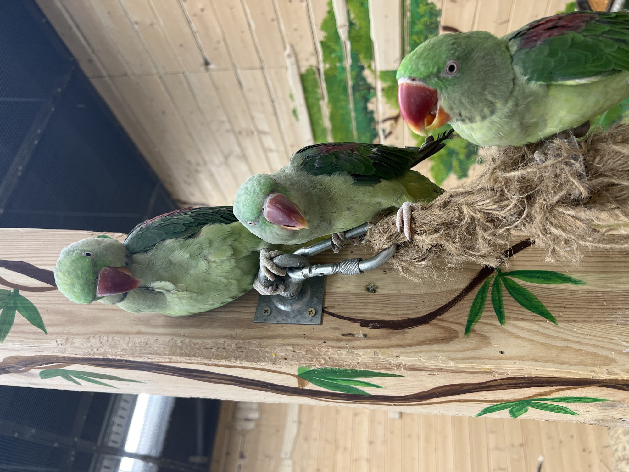 Moscow visitors hand-feed colorful parrots at aviary park
