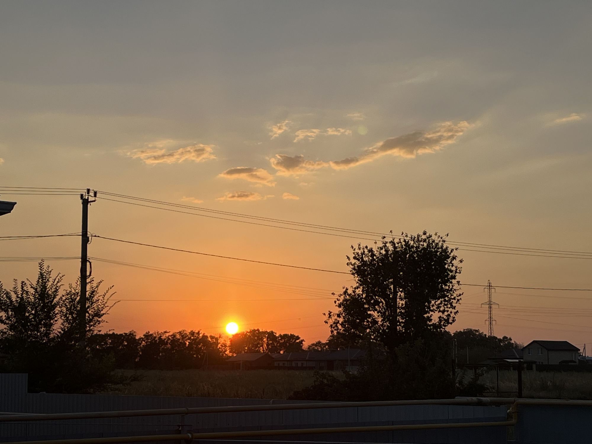 Taganrog sunset skies and a tabby kitten, August evening.