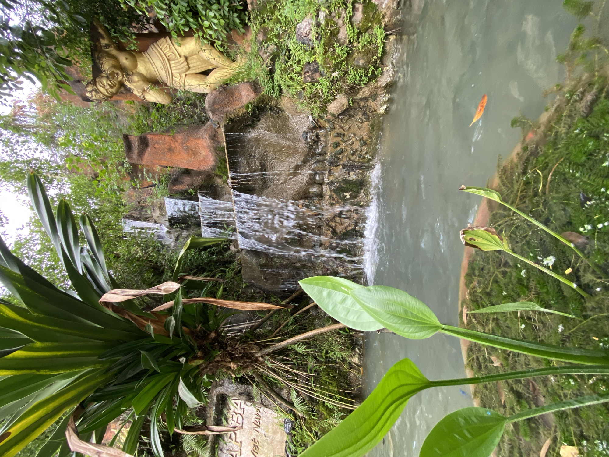 Strolling a tropical garden park in Nha Trang, Vietnam