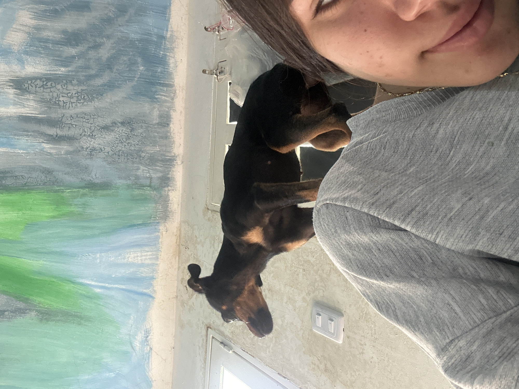 Lazy afternoon with dogs in Juan Griego, Venezuela