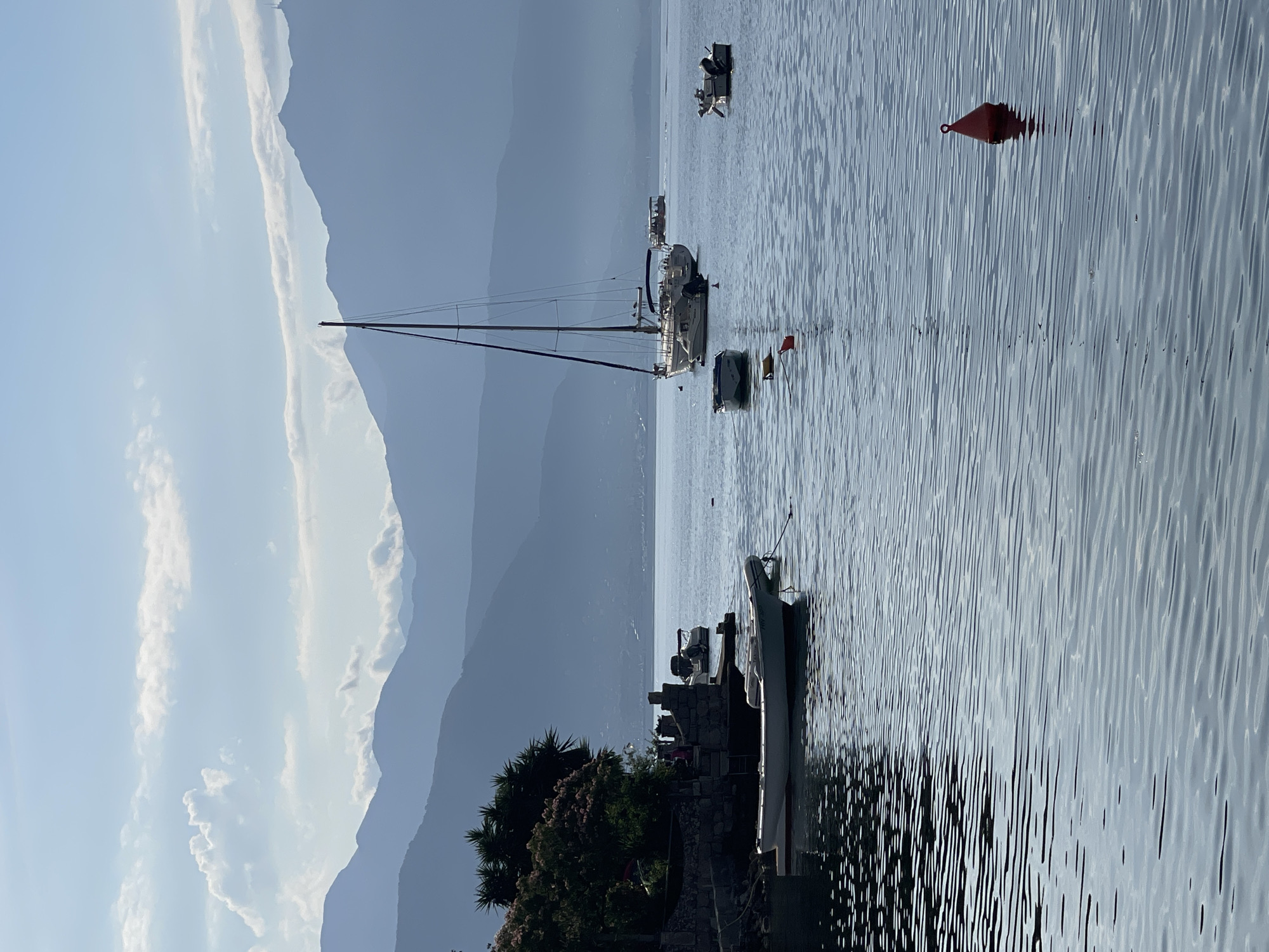 Morning tranquility captured in Đenovići: water, cat, fish