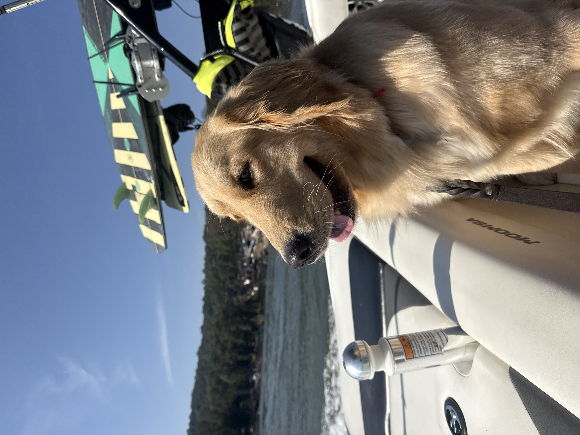 Golden retriever rests on boat in Valle de Bravo