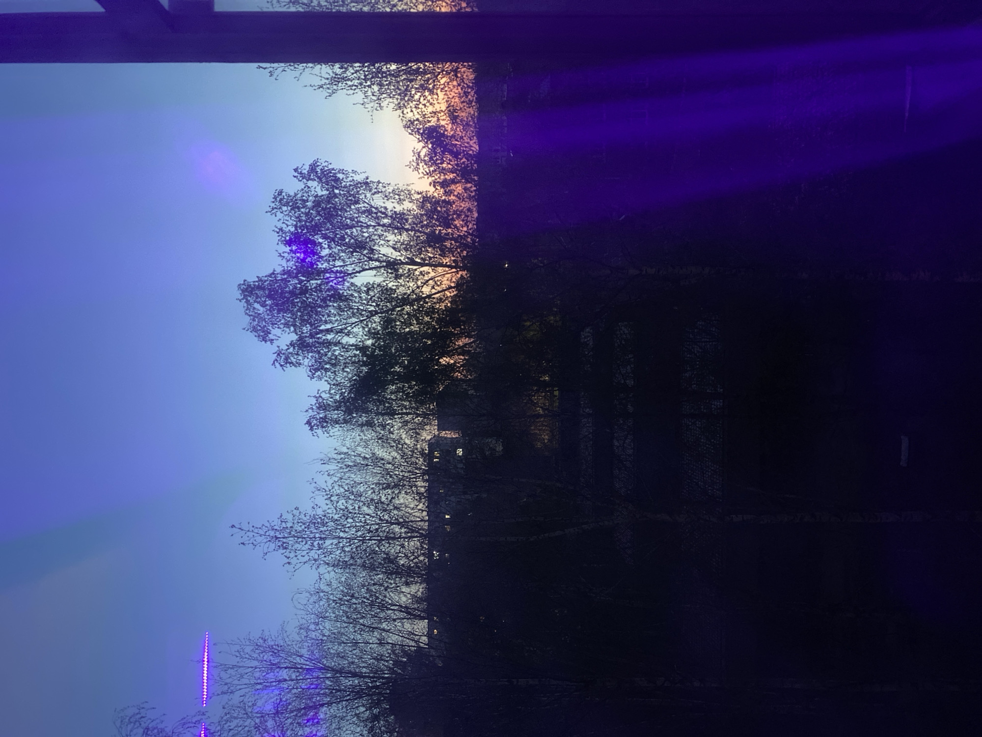 Twilight and forest scenes captured in Izhevsk, Russia