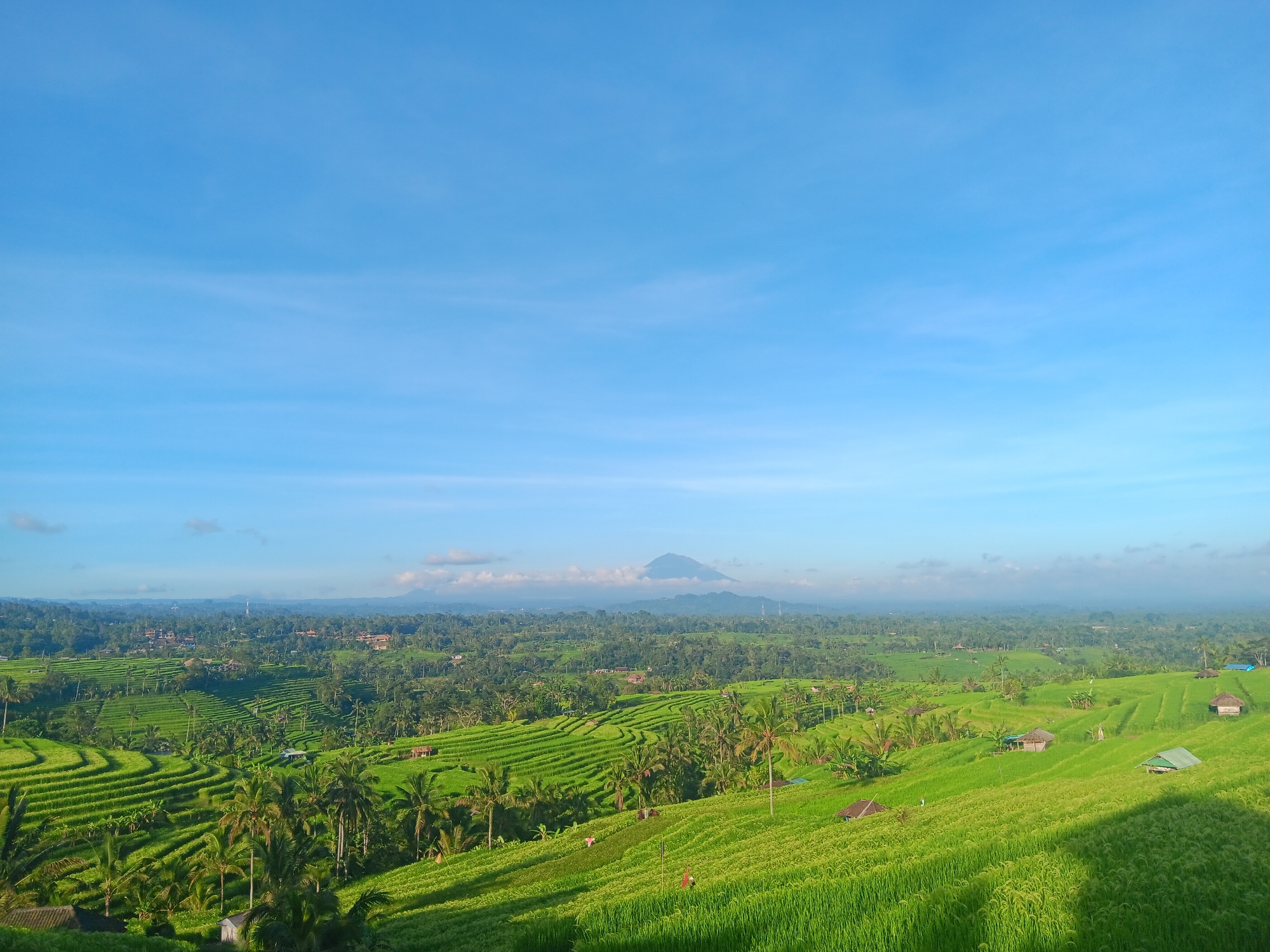 Barefoot visitor explores Jatiluwih rice terraces in Indonesia