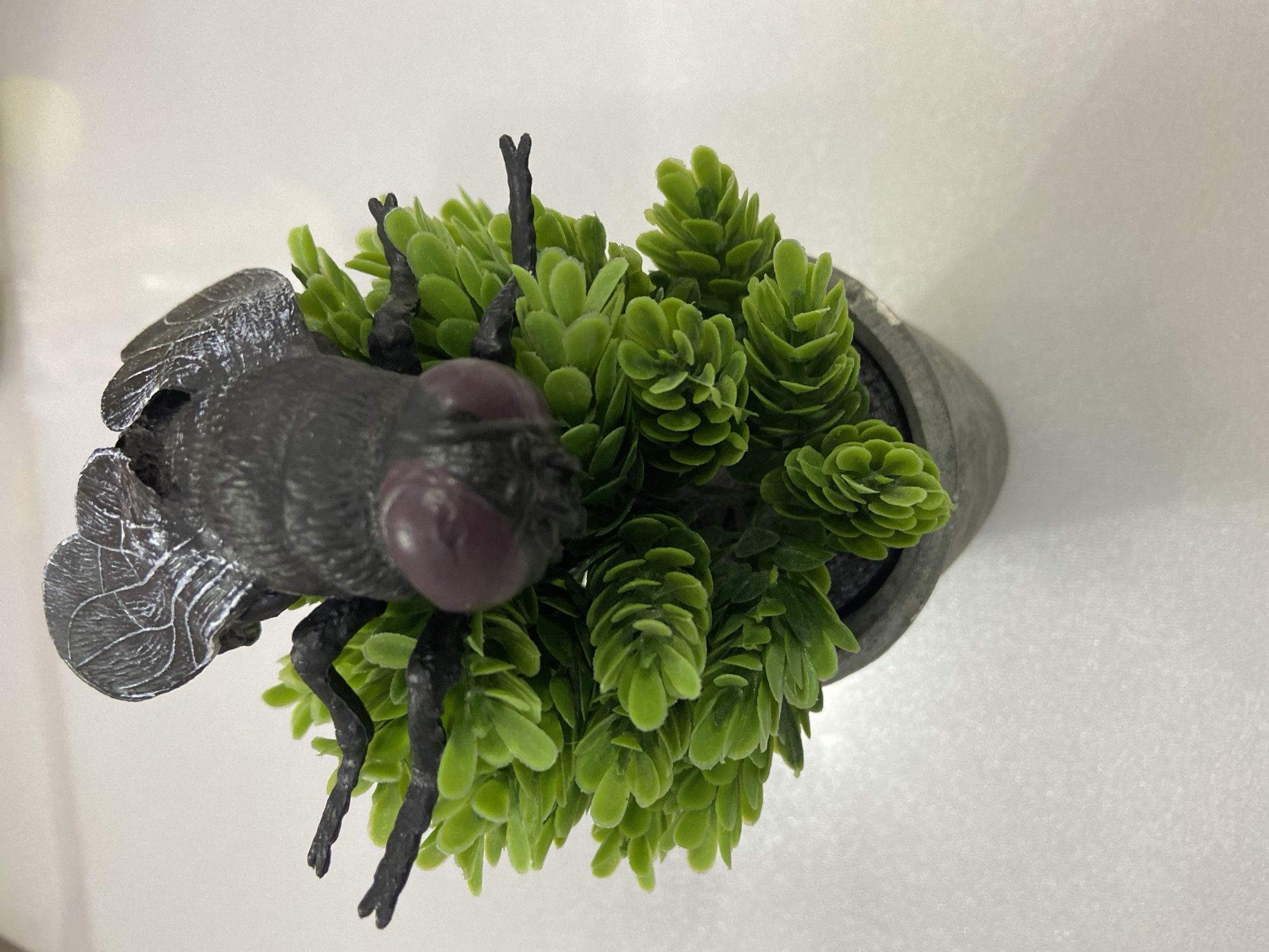 Indoor moments captured in Уральское: decorative plant, chocolate products