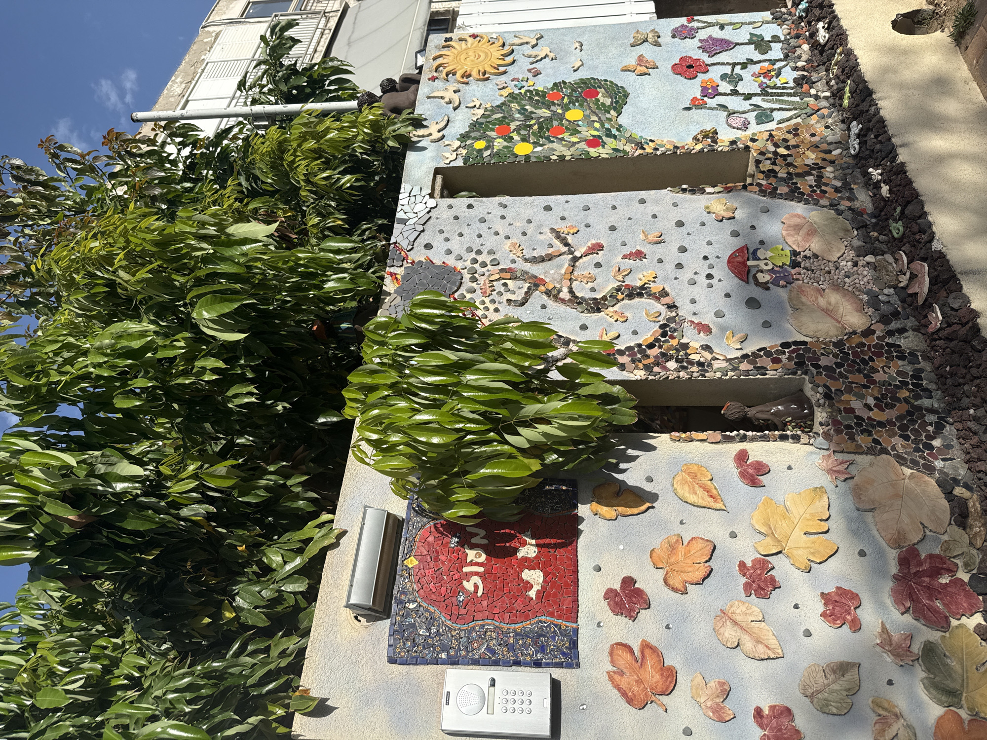Decorative walls and palm trees documented in Raanana garden