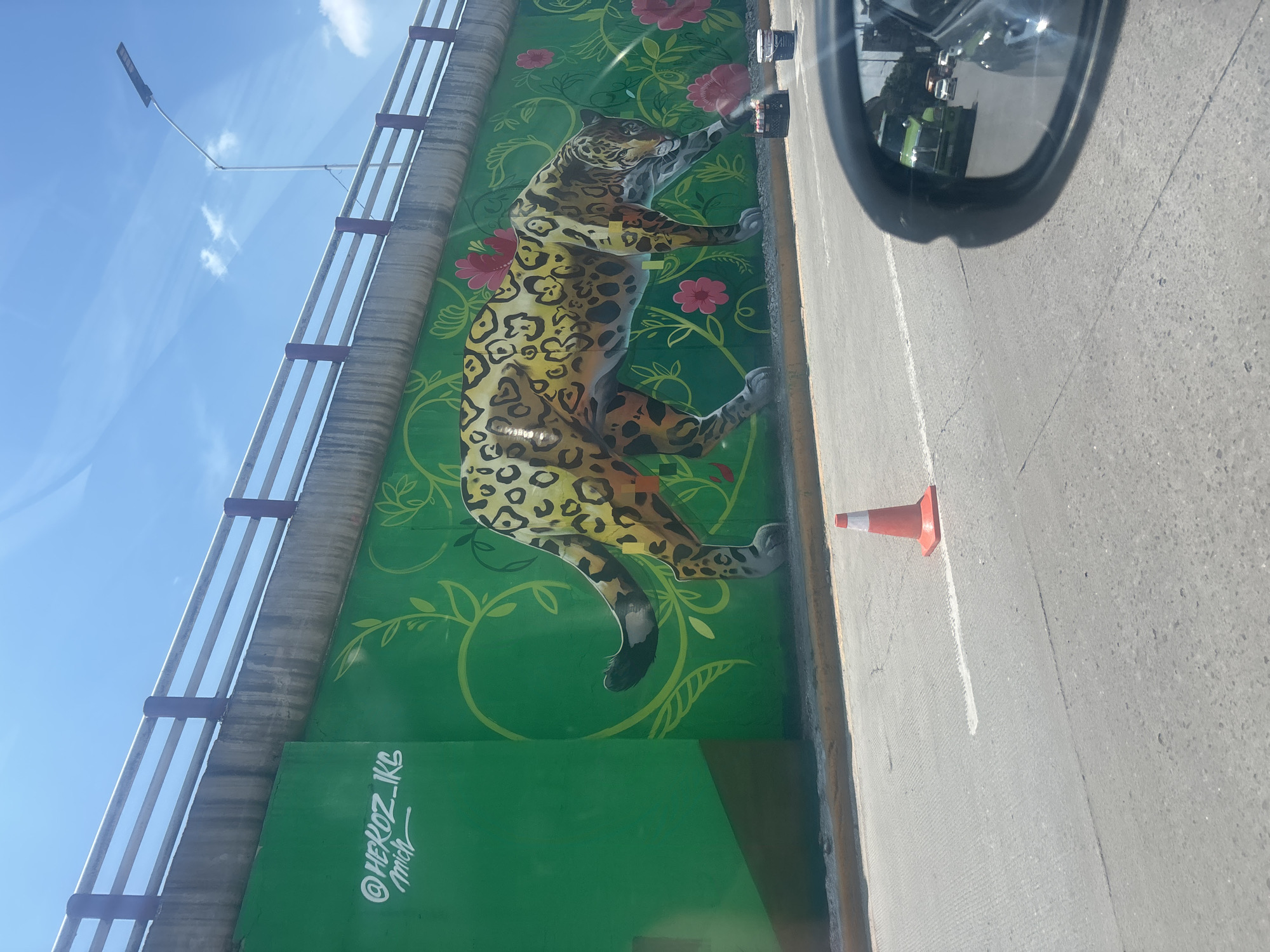 Floral leopard mural spotted on Buenavista bridge wall