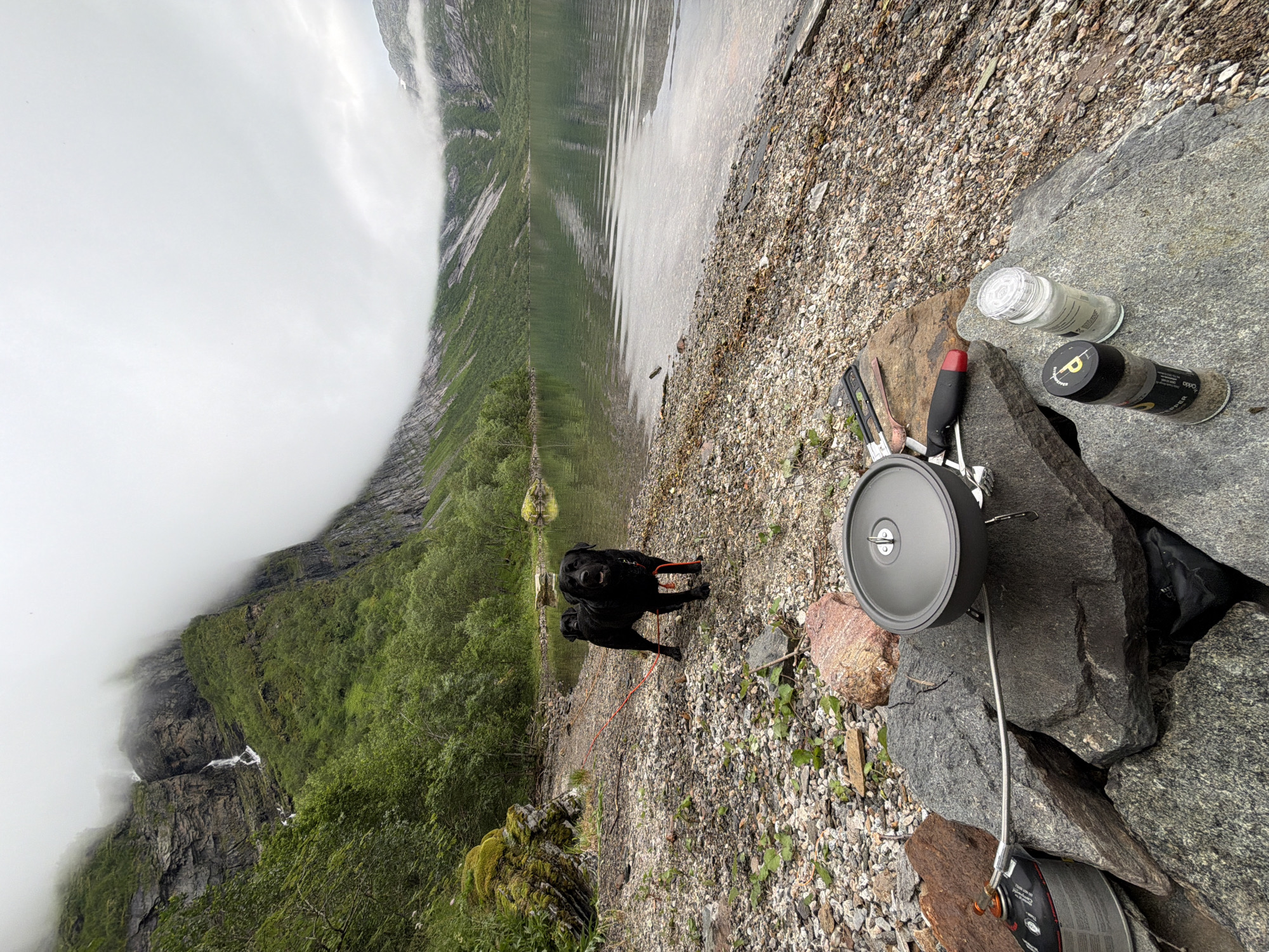 Camping with dogs on the rocky shores of Glomfjord