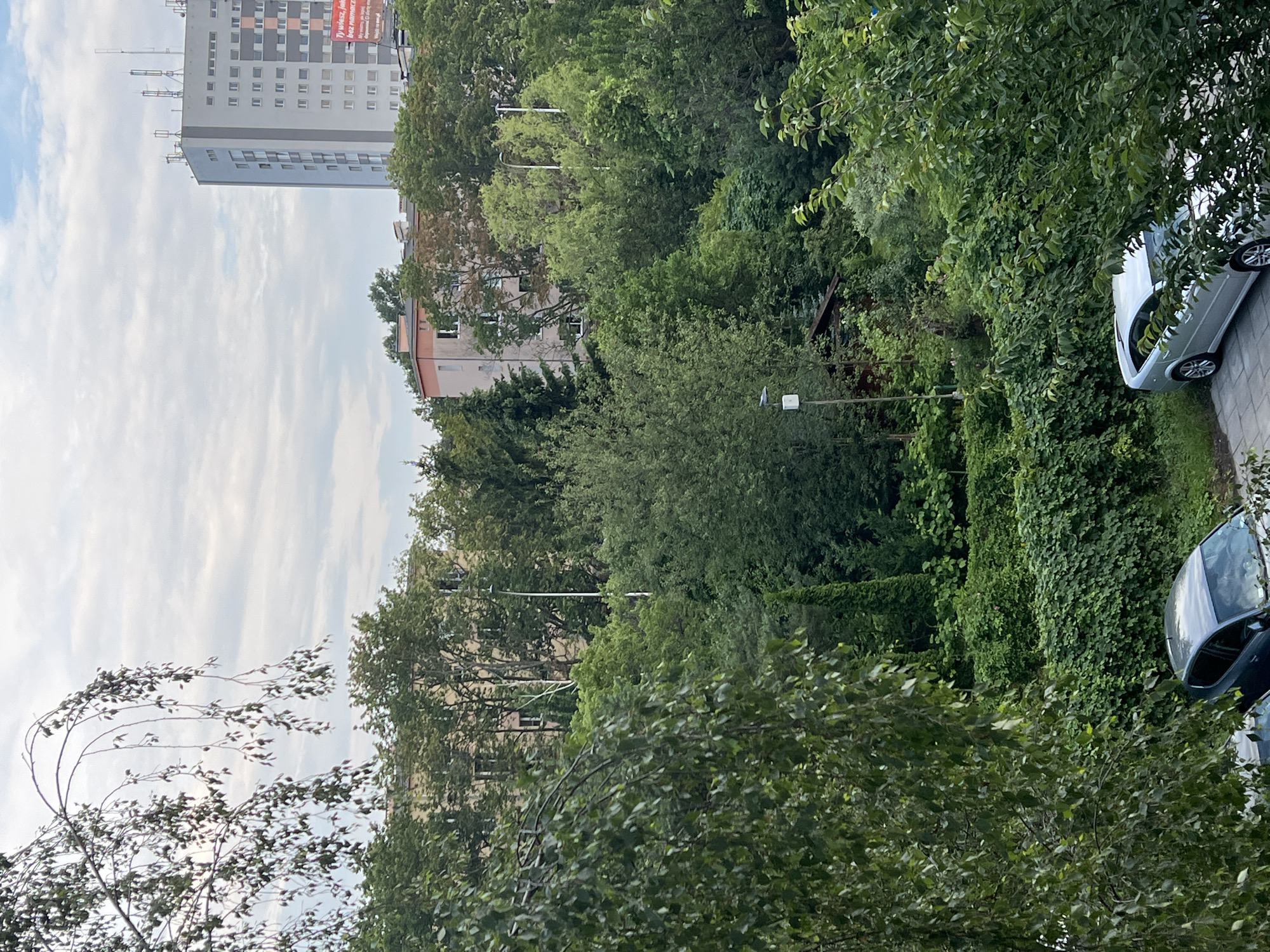 Warsaw afternoon: room collectibles, cat art, and tree canopies