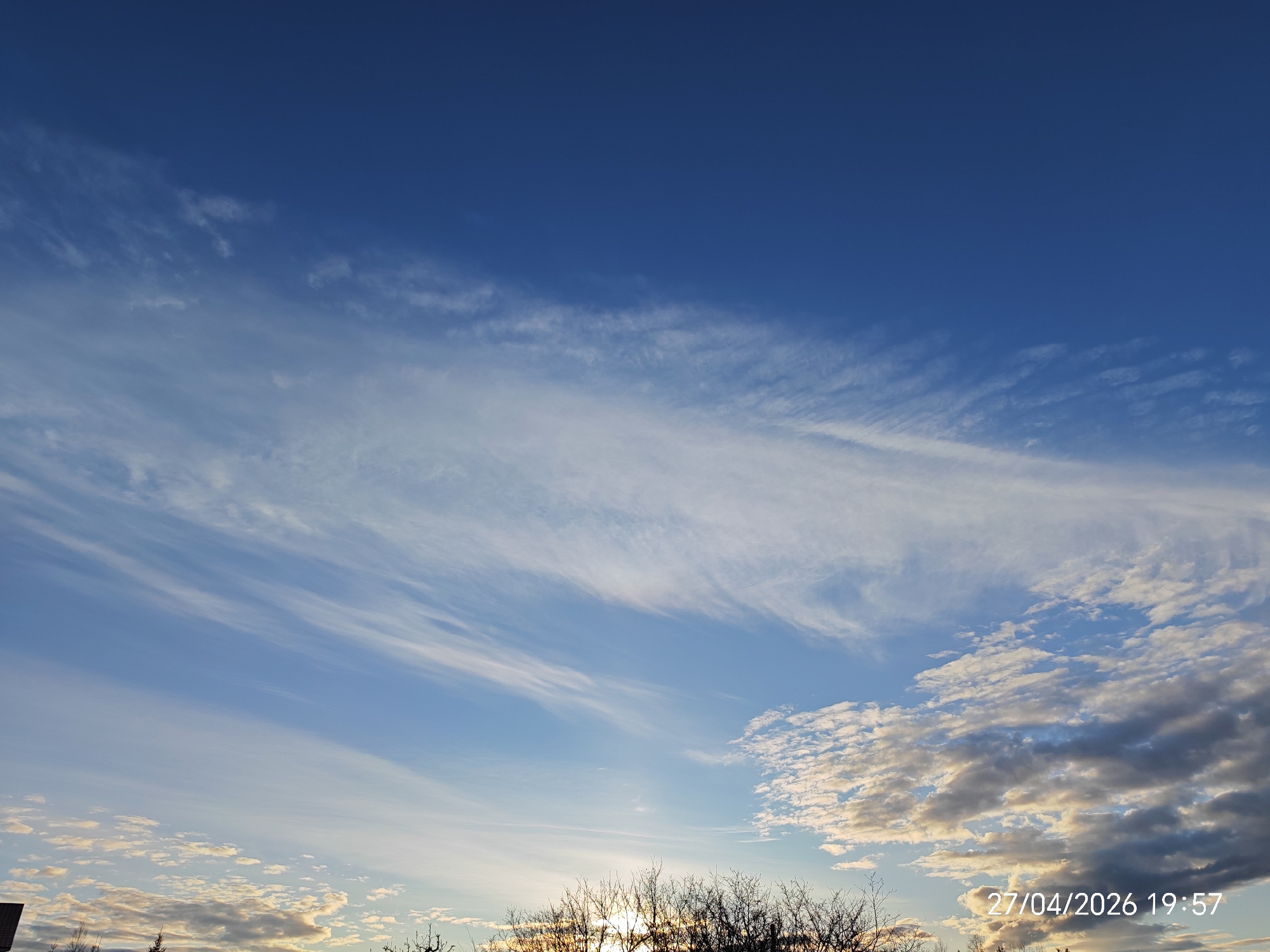 Evening nature observations capture sunset, spring buds, pine-laden trees